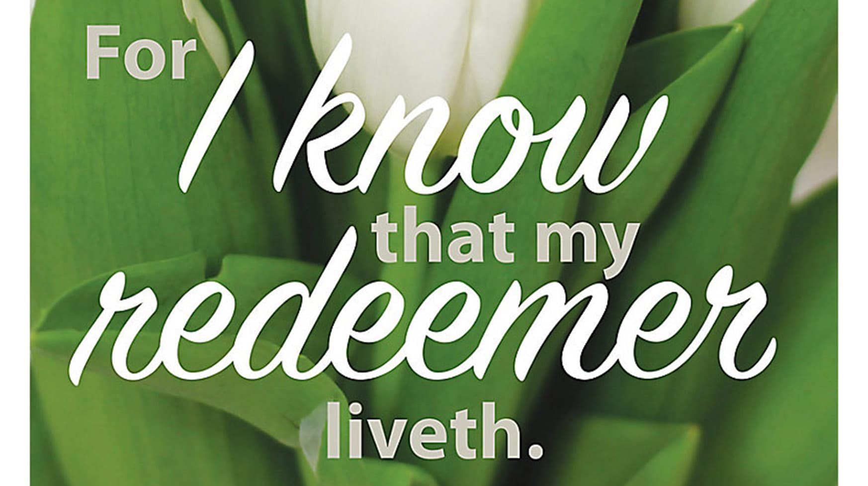 slide 1 of 8 for Digital Church Graphics Package - Easter 2