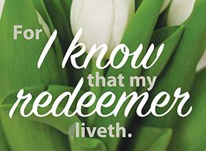slide 3 of 8 for Digital Church Graphics Package - Easter 2