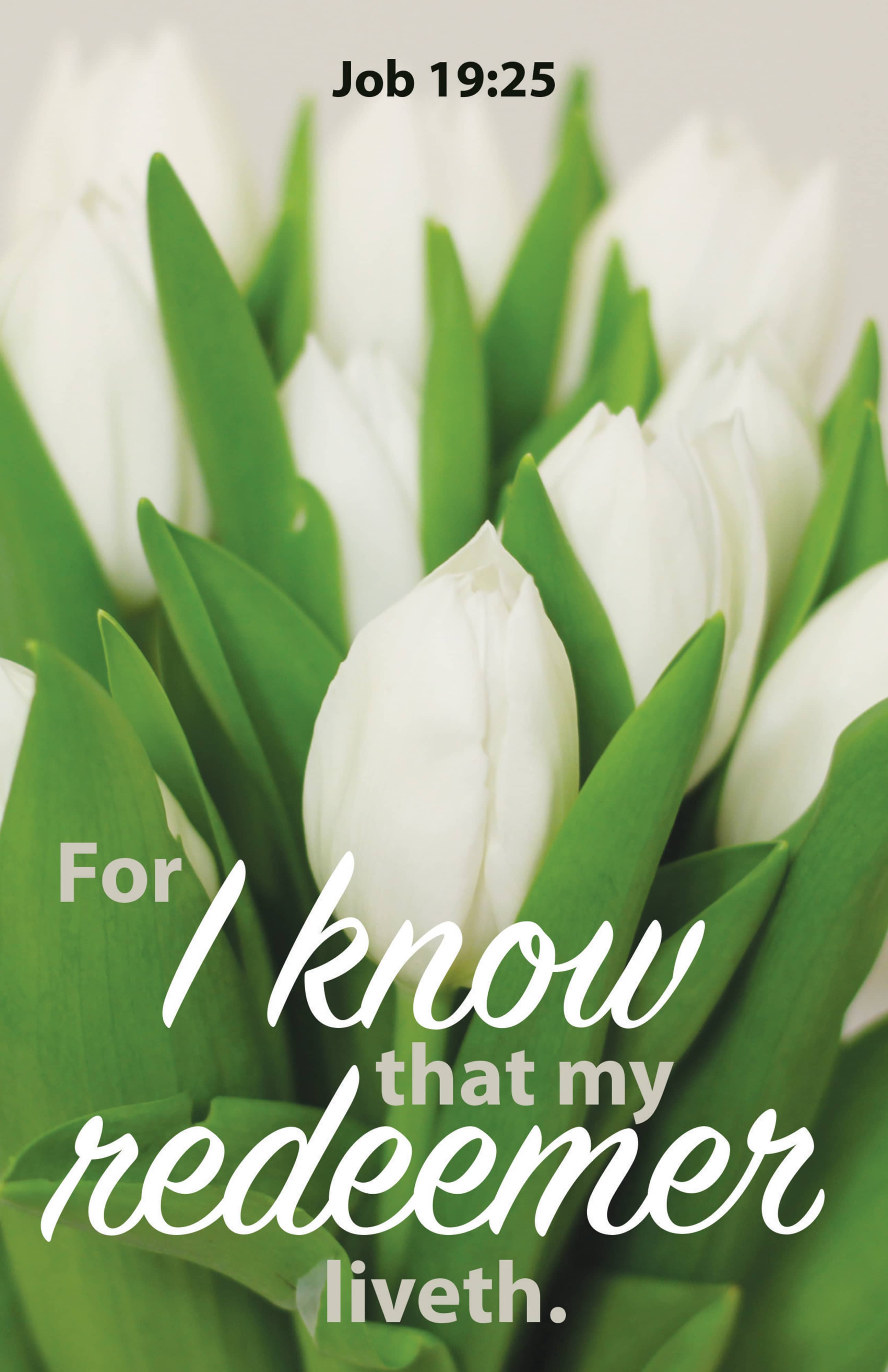 slide 4 of 8 for Digital Church Graphics Package - Easter 2