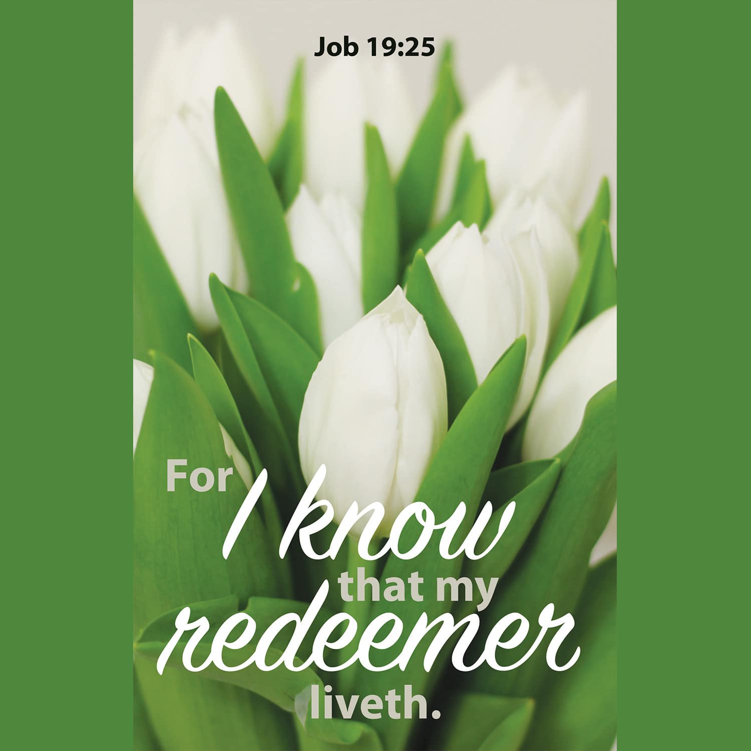 slide 5 of 8 for Digital Church Graphics Package - Easter 2