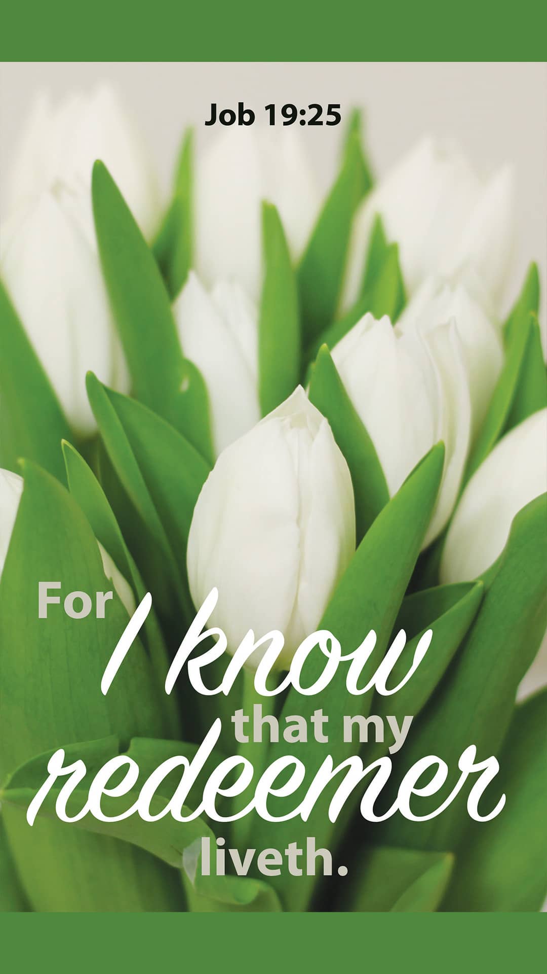 slide 6 of 8 for Digital Church Graphics Package - Easter 2