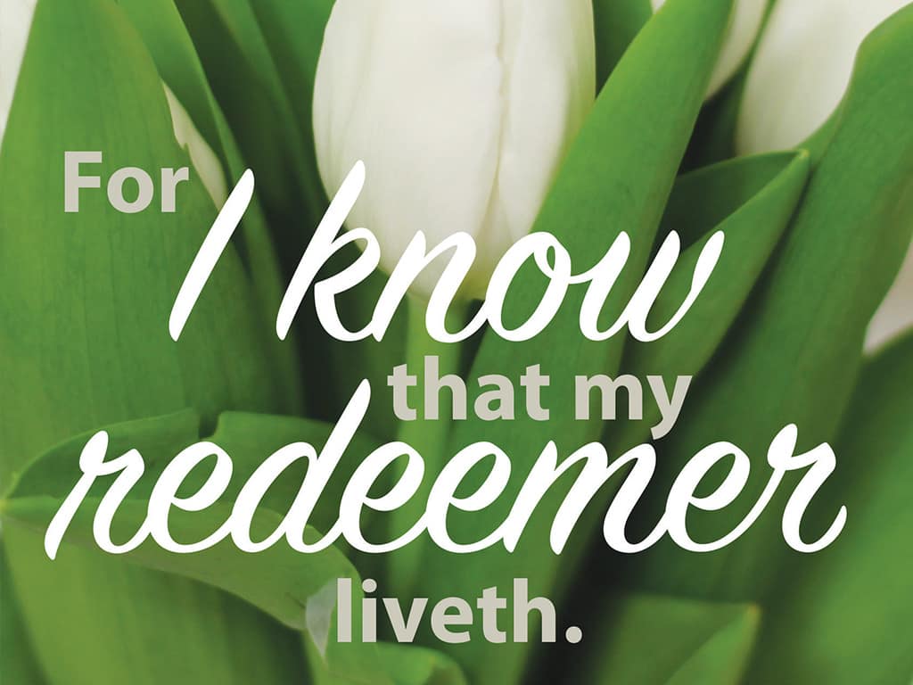 slide 7 of 8 for Digital Church Graphics Package - Easter 2