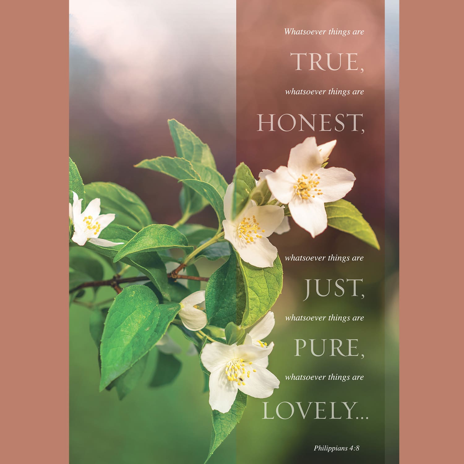 slide 6 of 8 for Digital Church Graphics Package - Spring 2