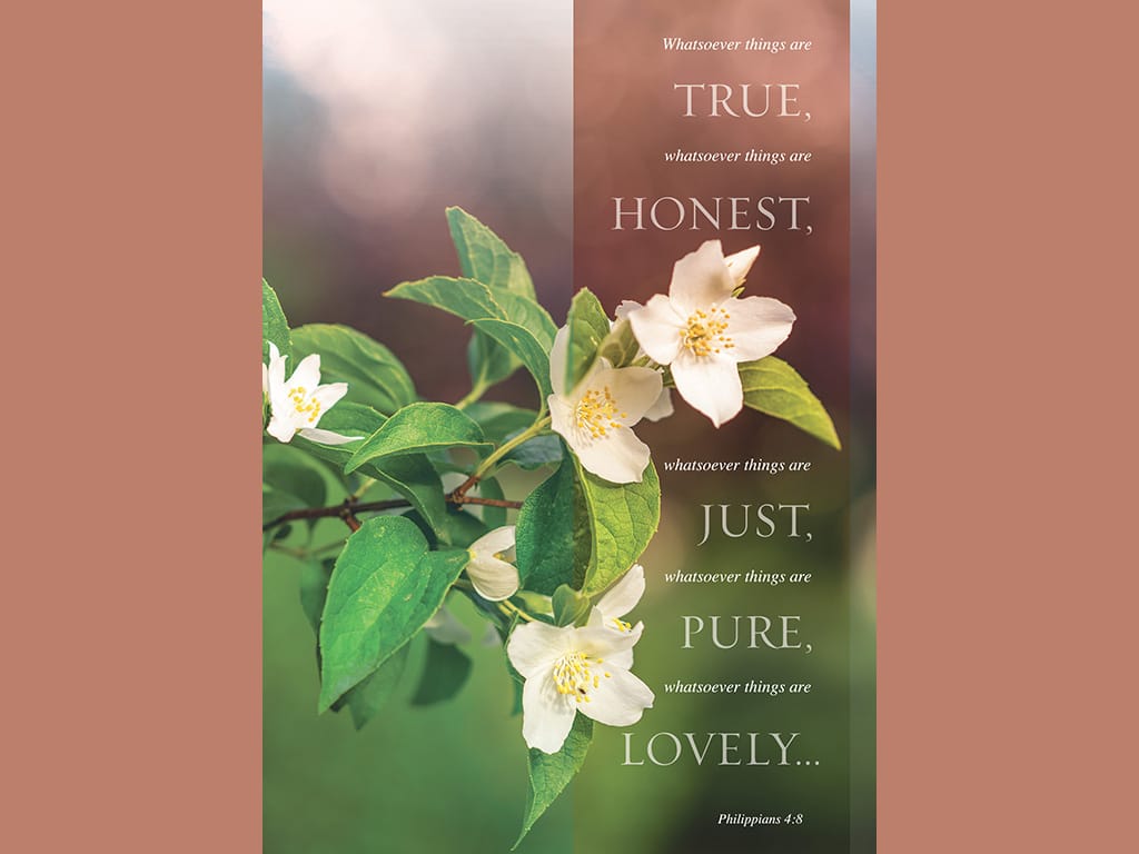 slide 8 of 8 for Digital Church Graphics Package - Spring 2