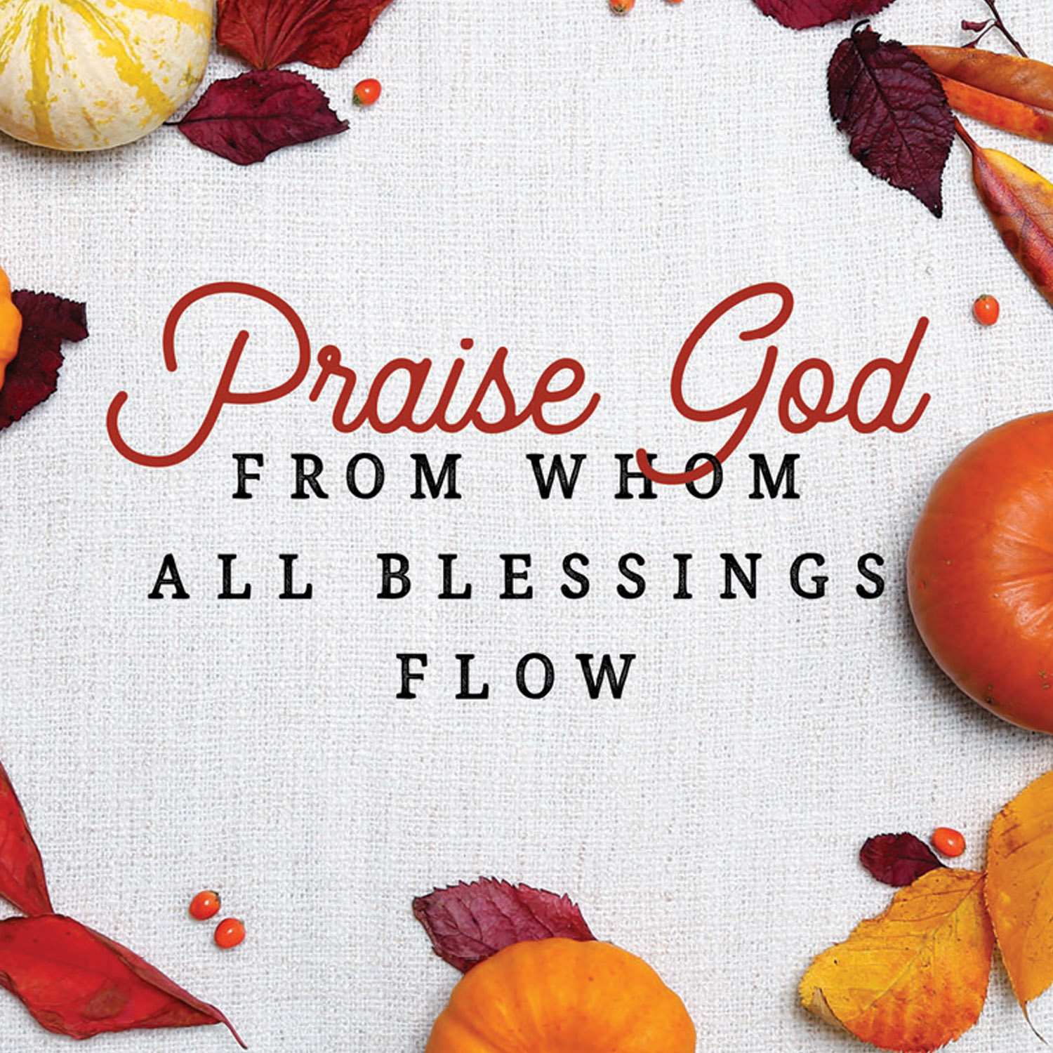slide 6 of 9 for Digital Church Graphics Package -  Thanksgiving 2