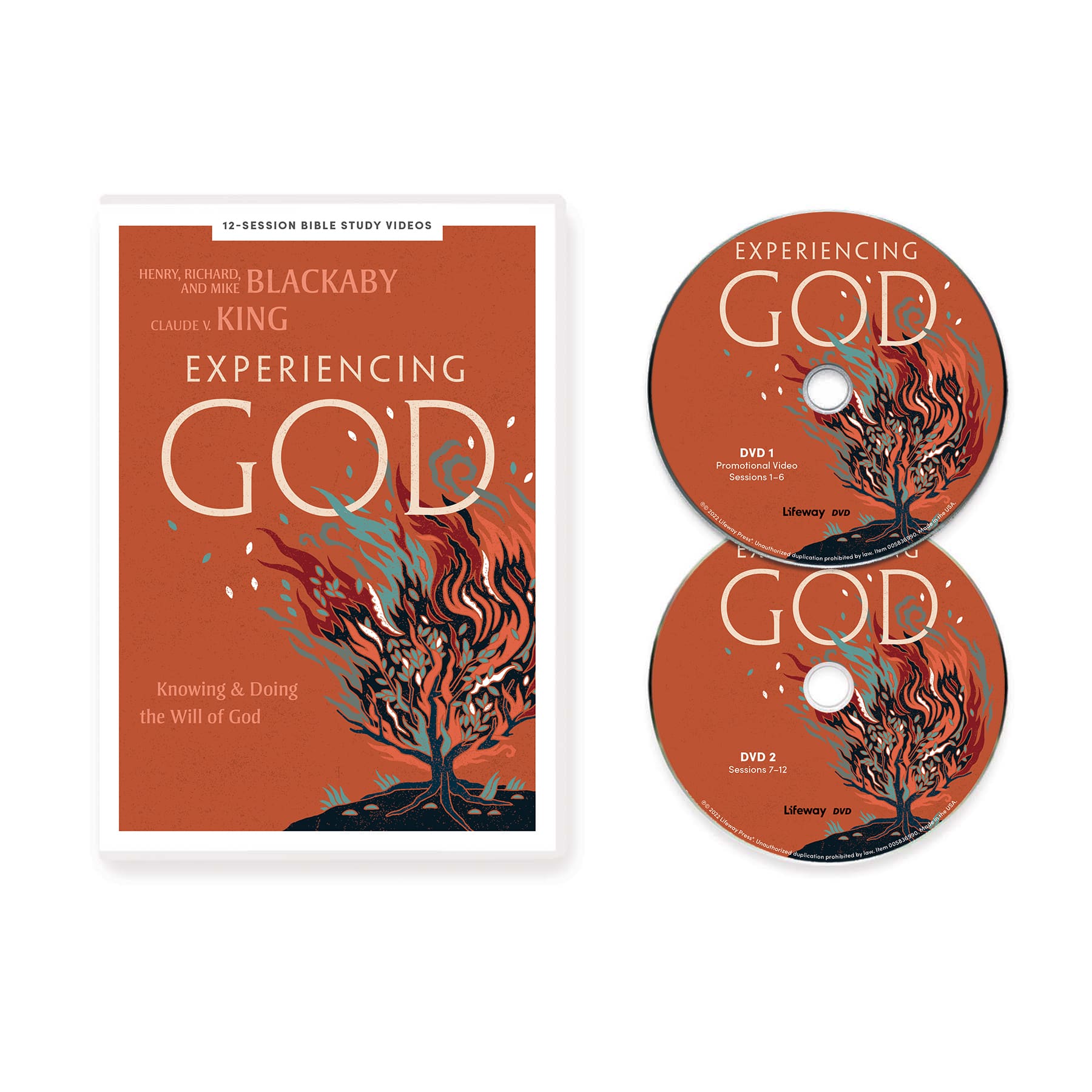slide 2 of 4 for Experiencing God - DVD Set