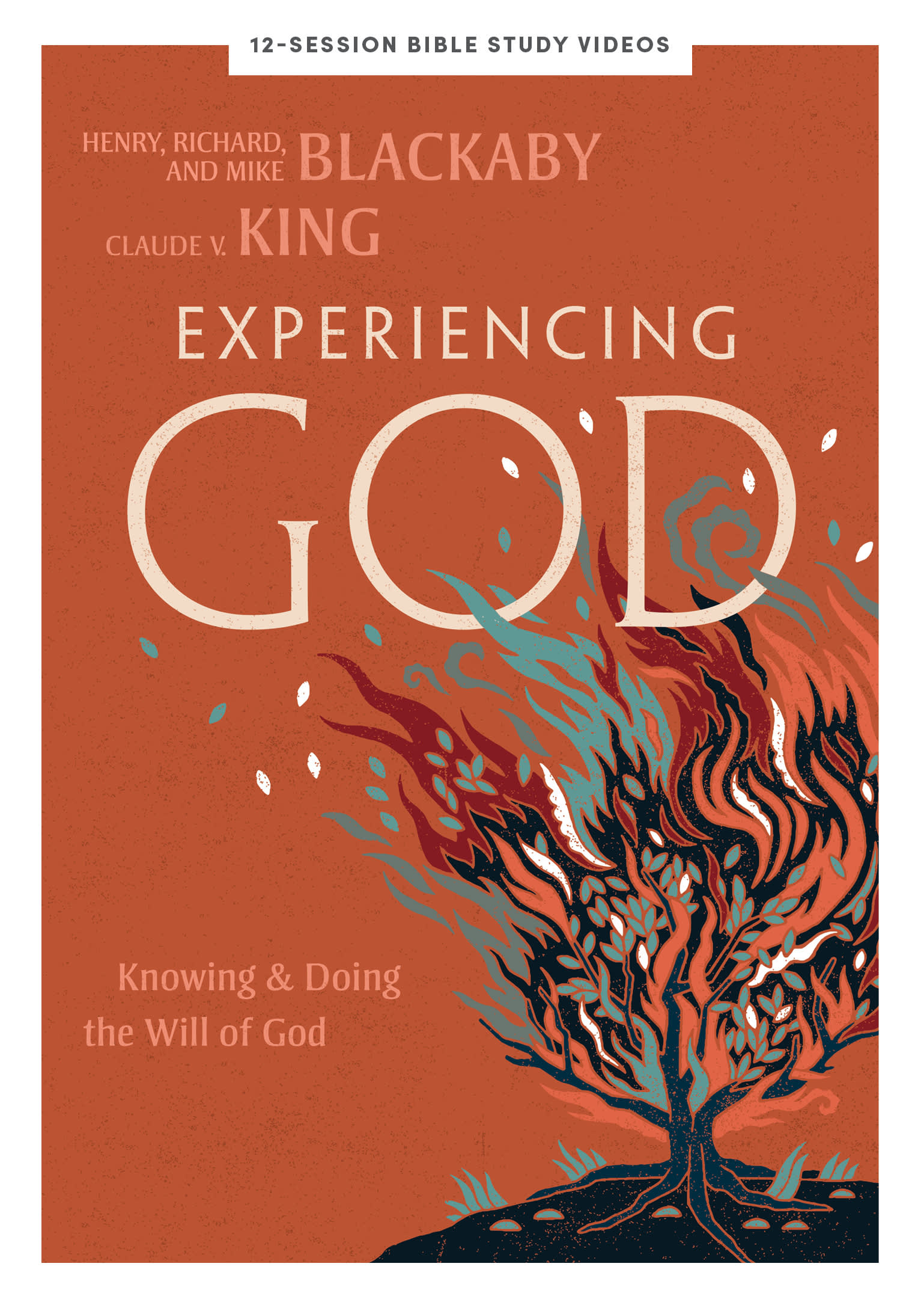 slide 4 of 4 for Experiencing God - DVD Set