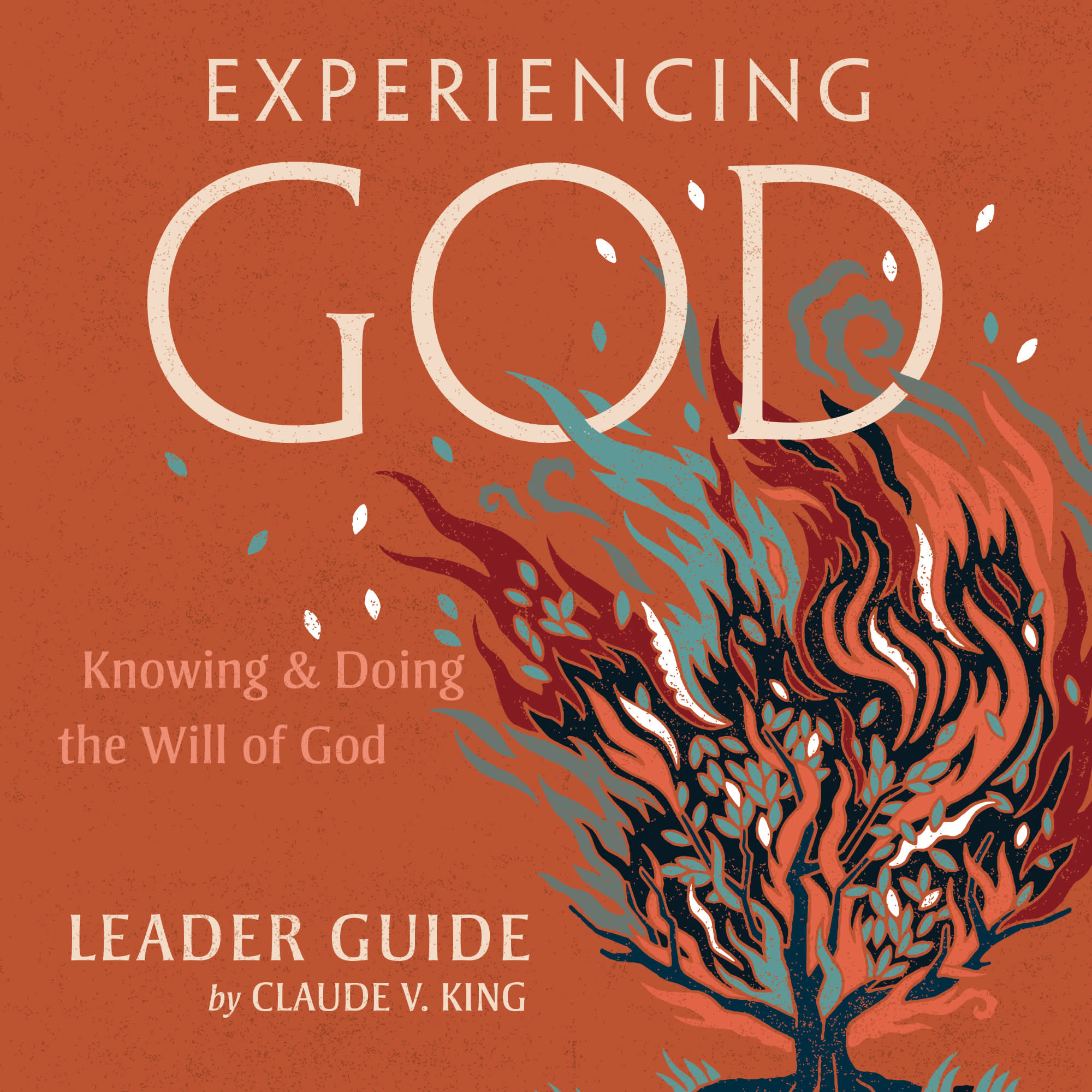 slide 1 of 2 for eBook - Experiencing God - Leader Guide