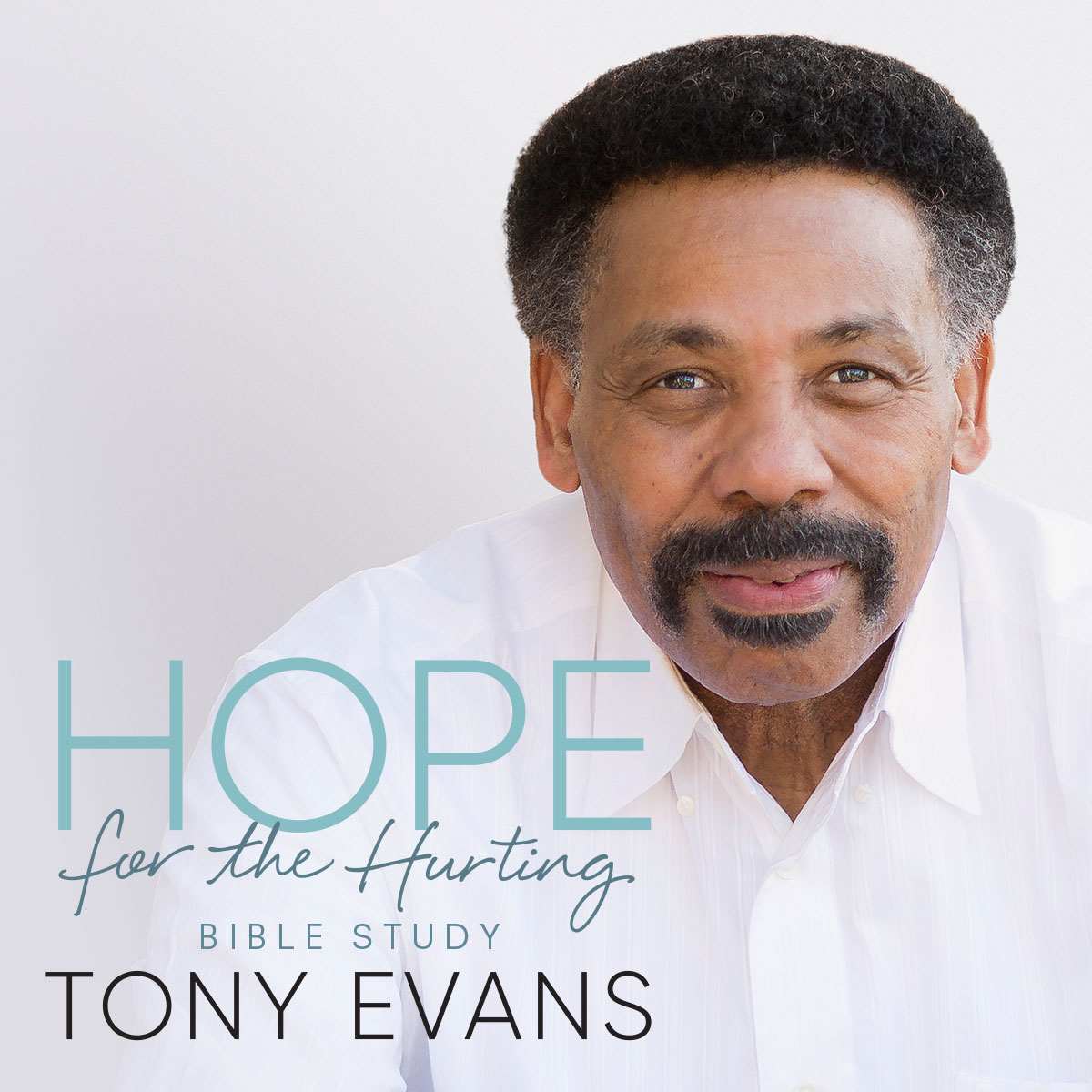 slide 2 of 2 for eBook - Hope for the Hurting - Bible Study Book