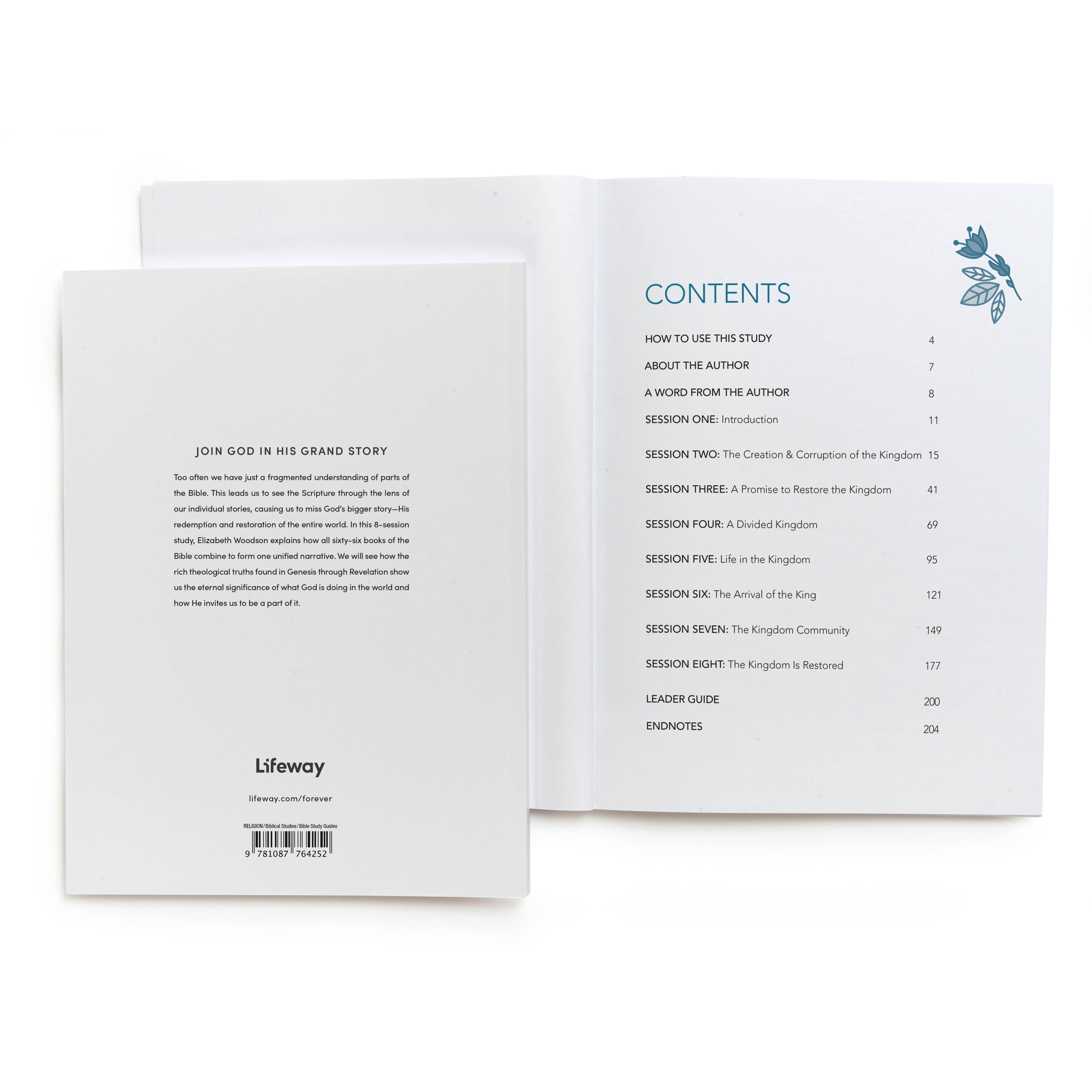 slide 3 of 5 for From Beginning to Forever - Bible Study Book with Video Access