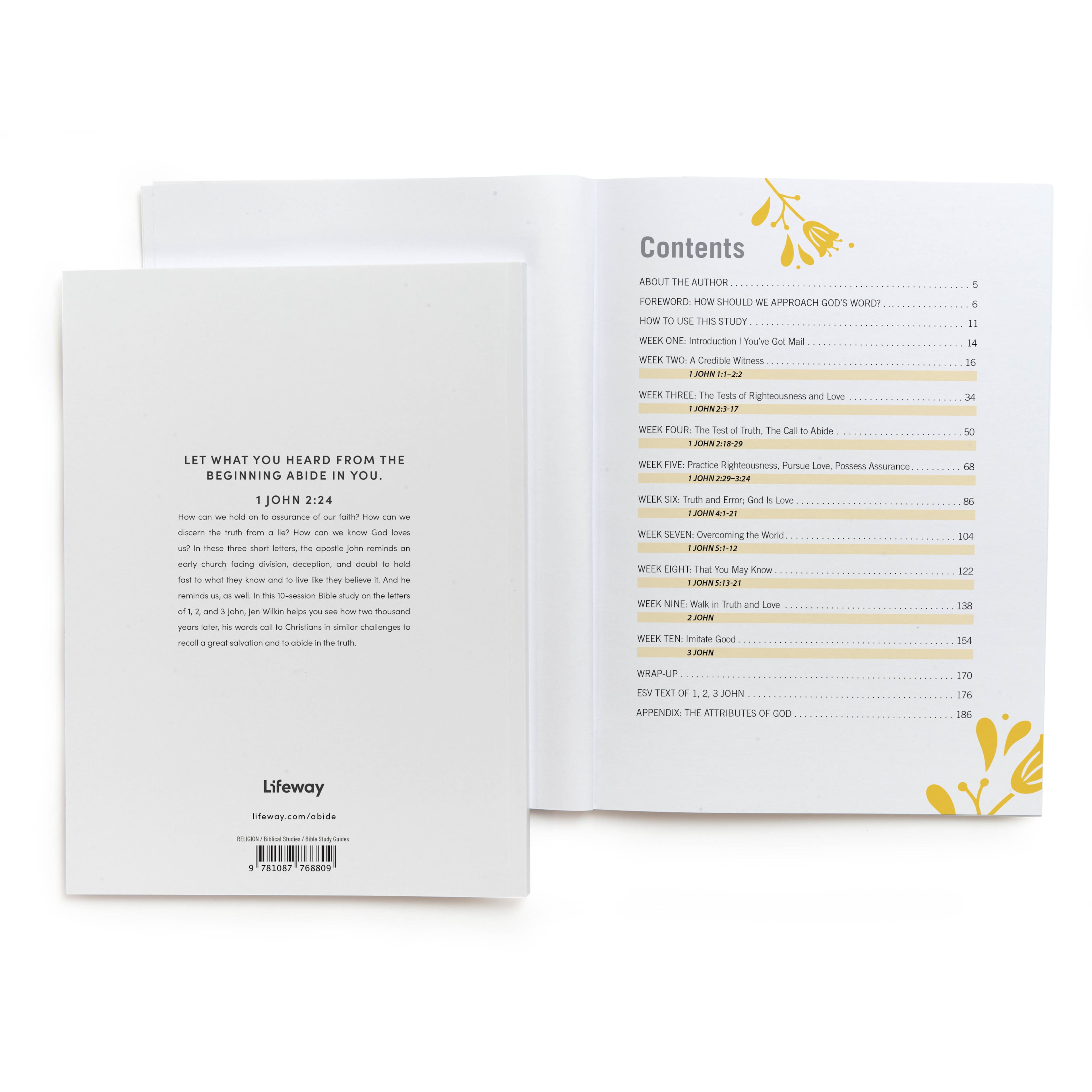 slide 3 of 5 for Abide - Bible Study Book with Video Access