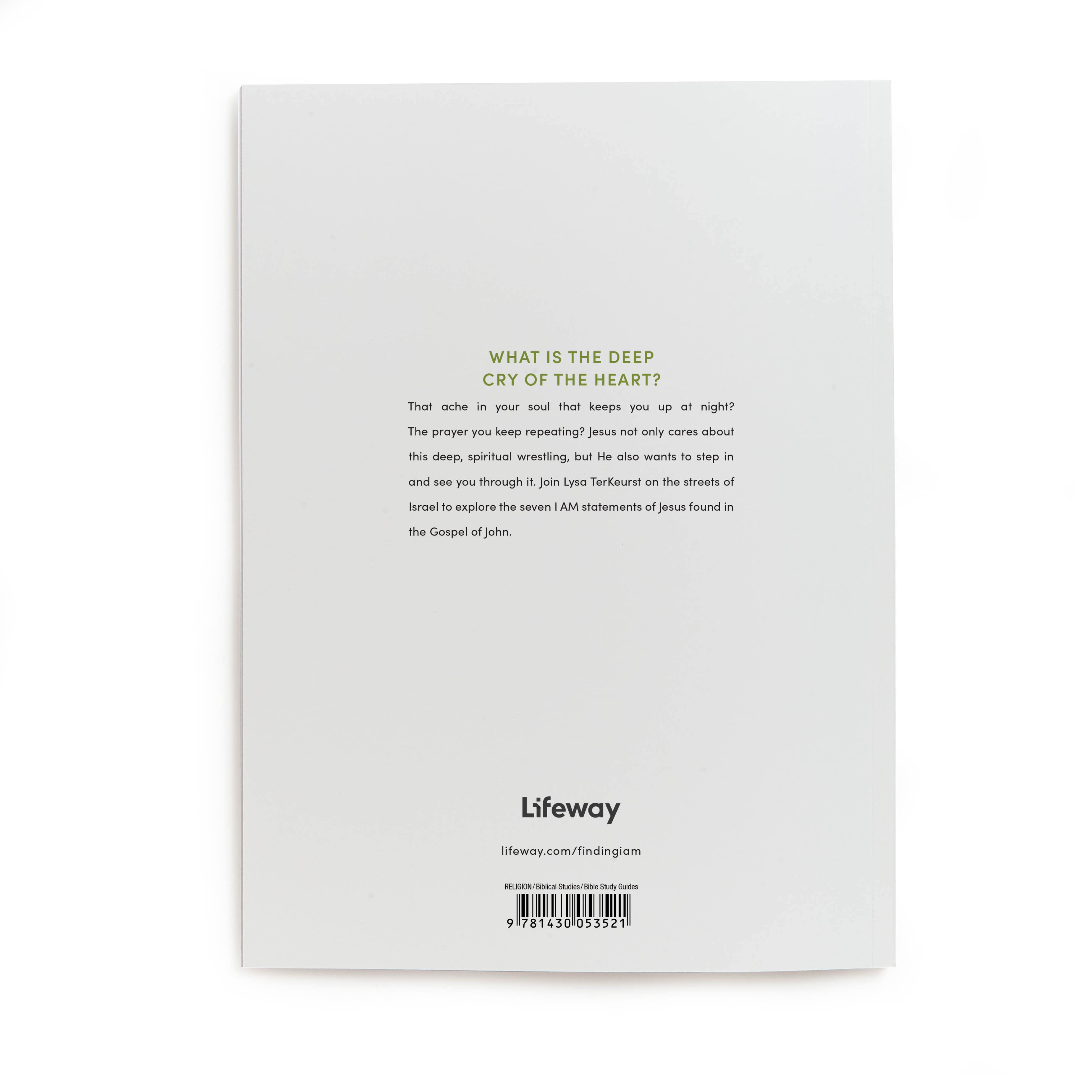 slide 2 of 5 for Finding I AM - Bible Study Book with Video Access