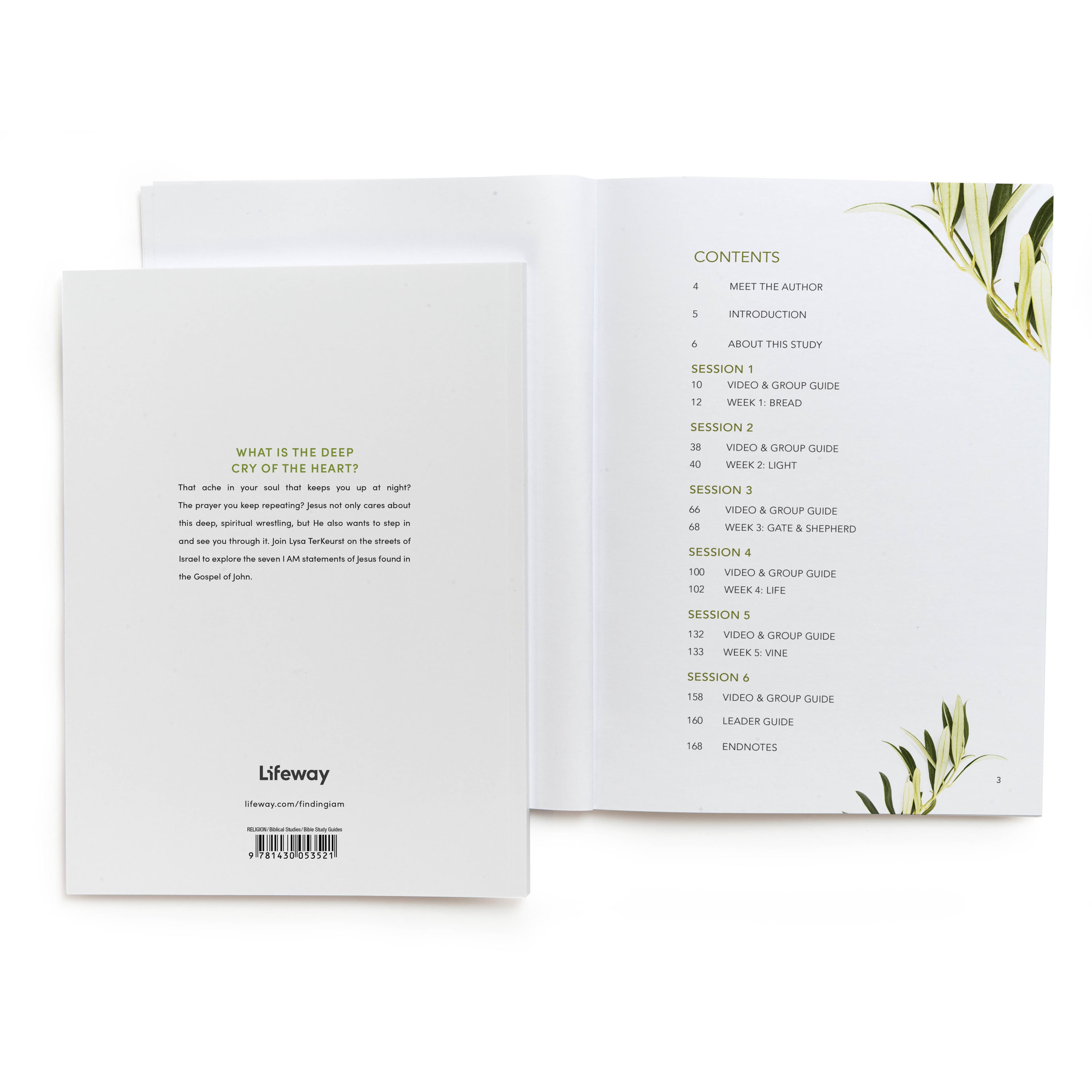 slide 3 of 5 for Finding I AM - Bible Study Book with Video Access