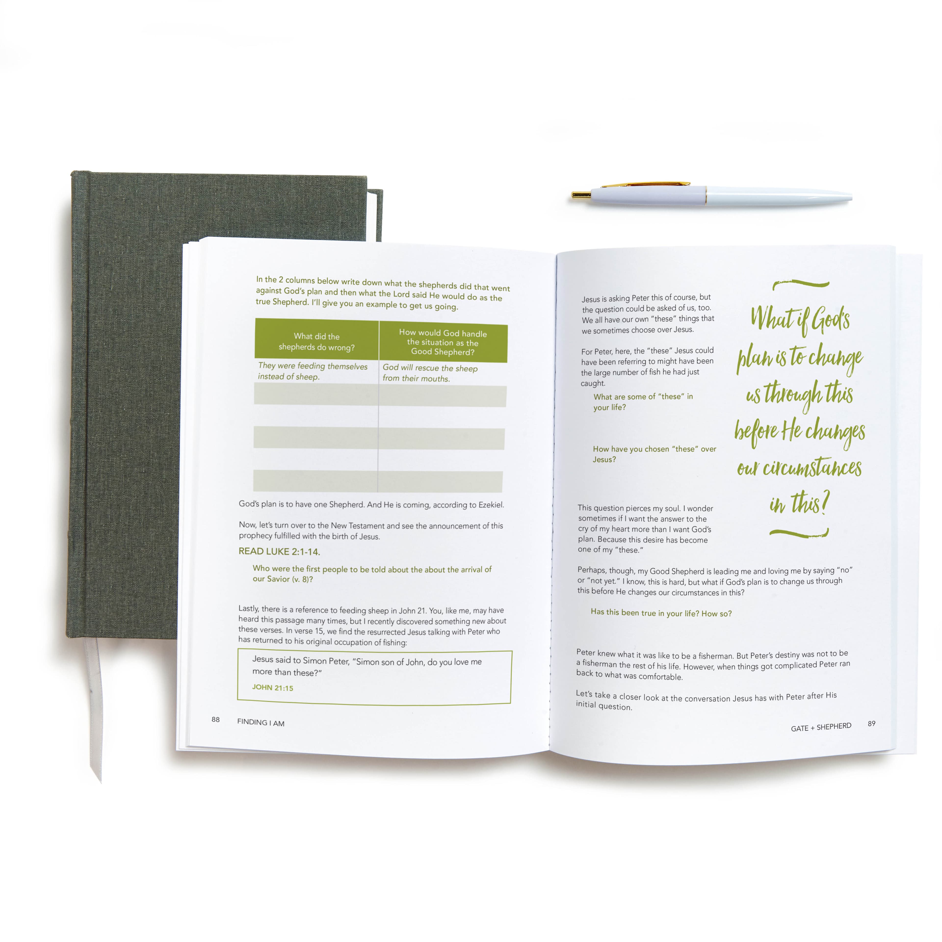 slide 4 of 5 for Finding I AM - Bible Study Book with Video Access