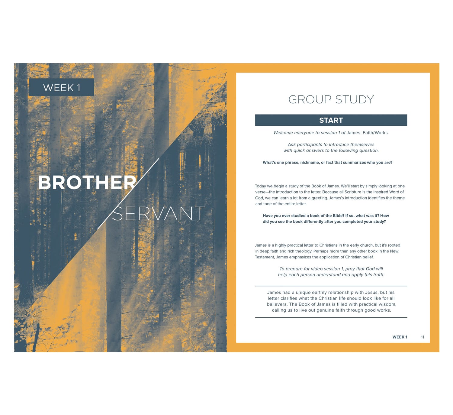 slide 3 of 5 for James - Bible Study Book with Video Access