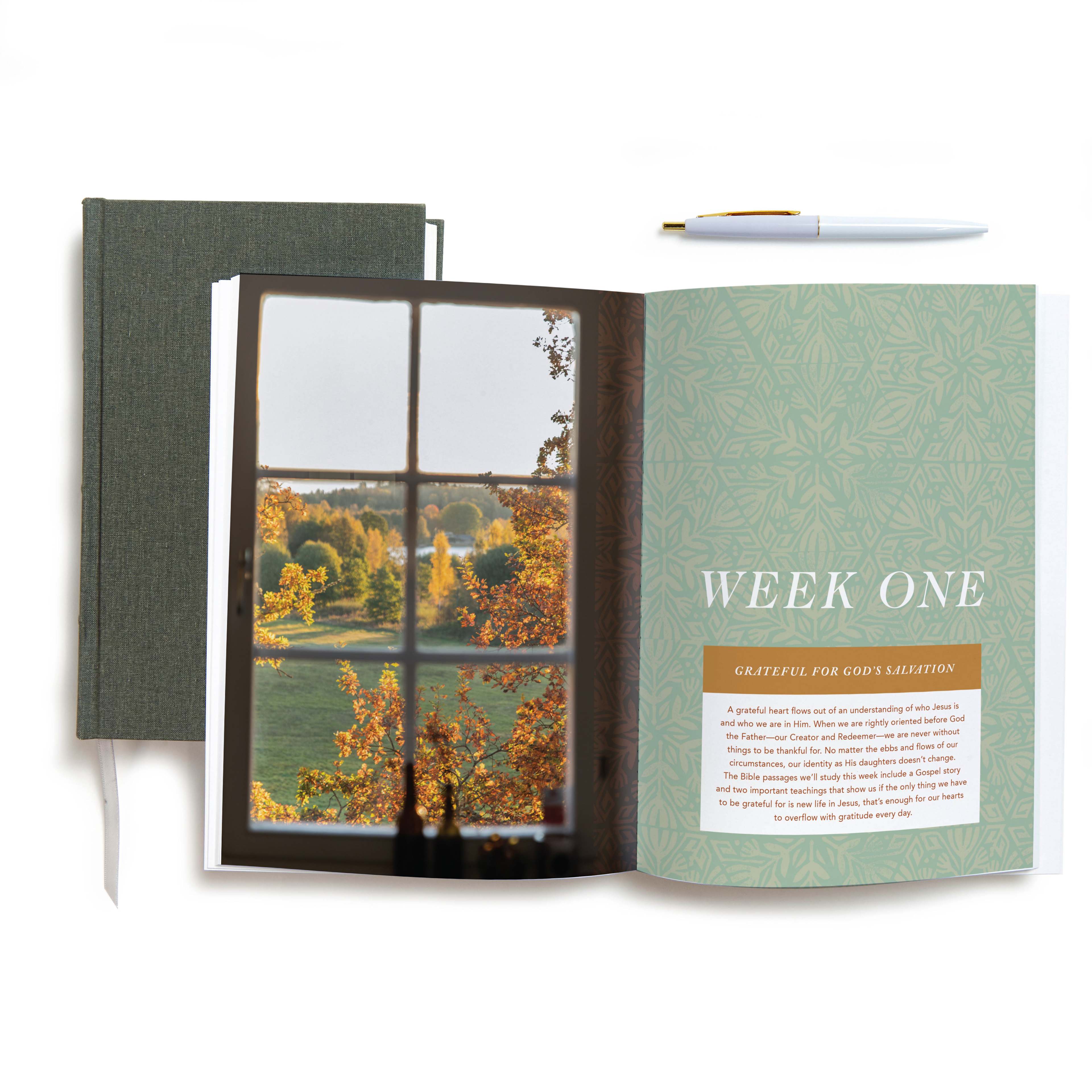 slide 4 of 6 for Grateful - Bible Study Book