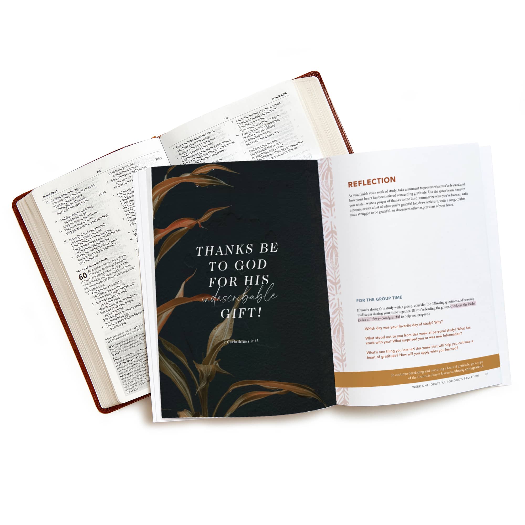 slide 6 of 6 for Grateful - Bible Study Book