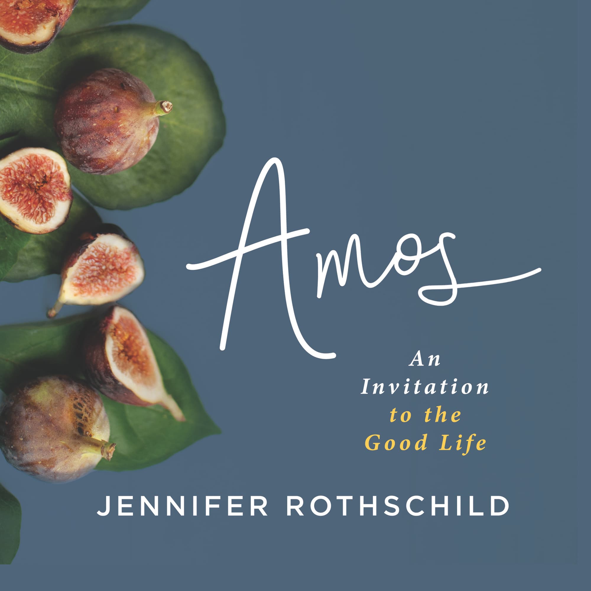 Amos - Video Streaming - Group