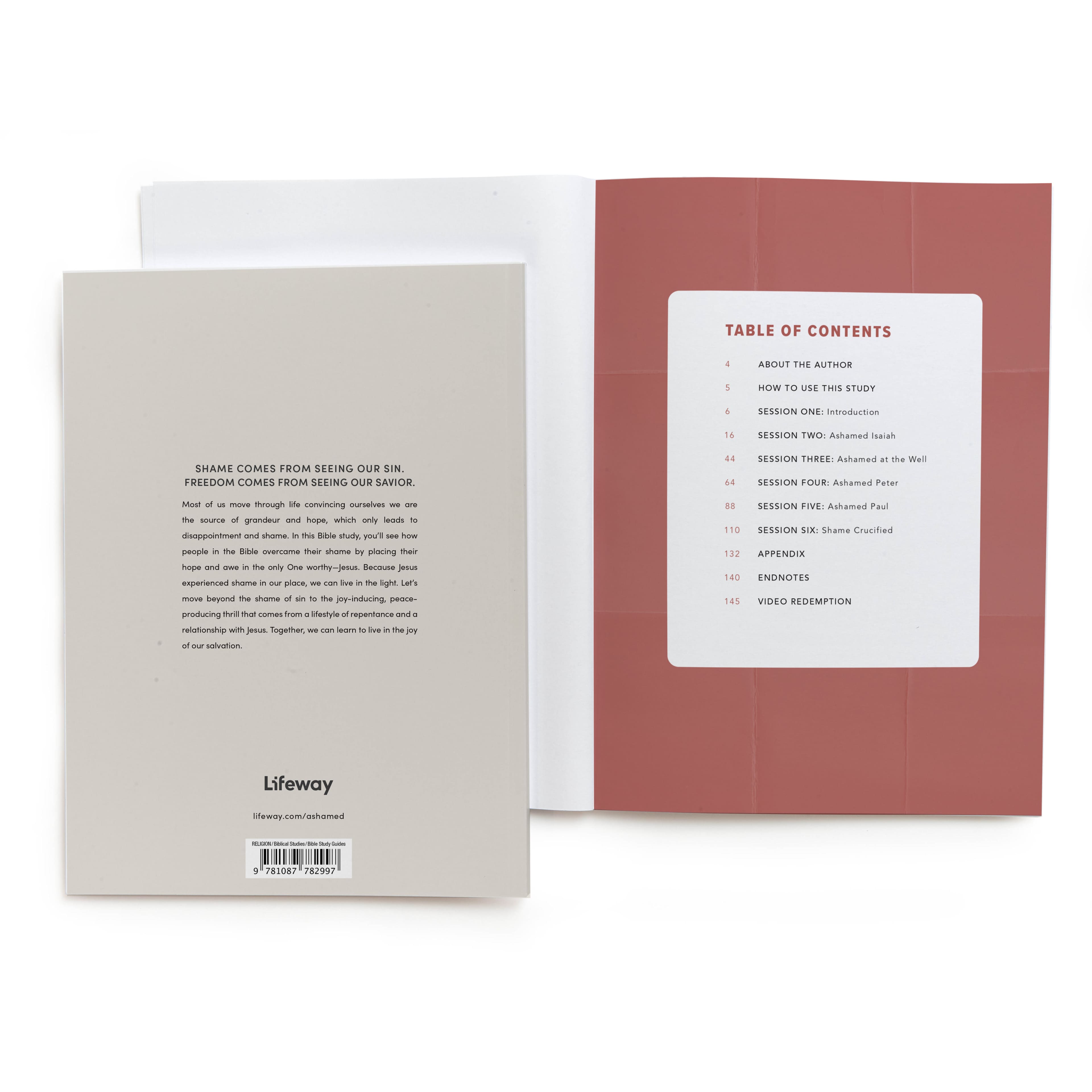 slide 3 of 5 for Ashamed - Bible Study Book with Video Access