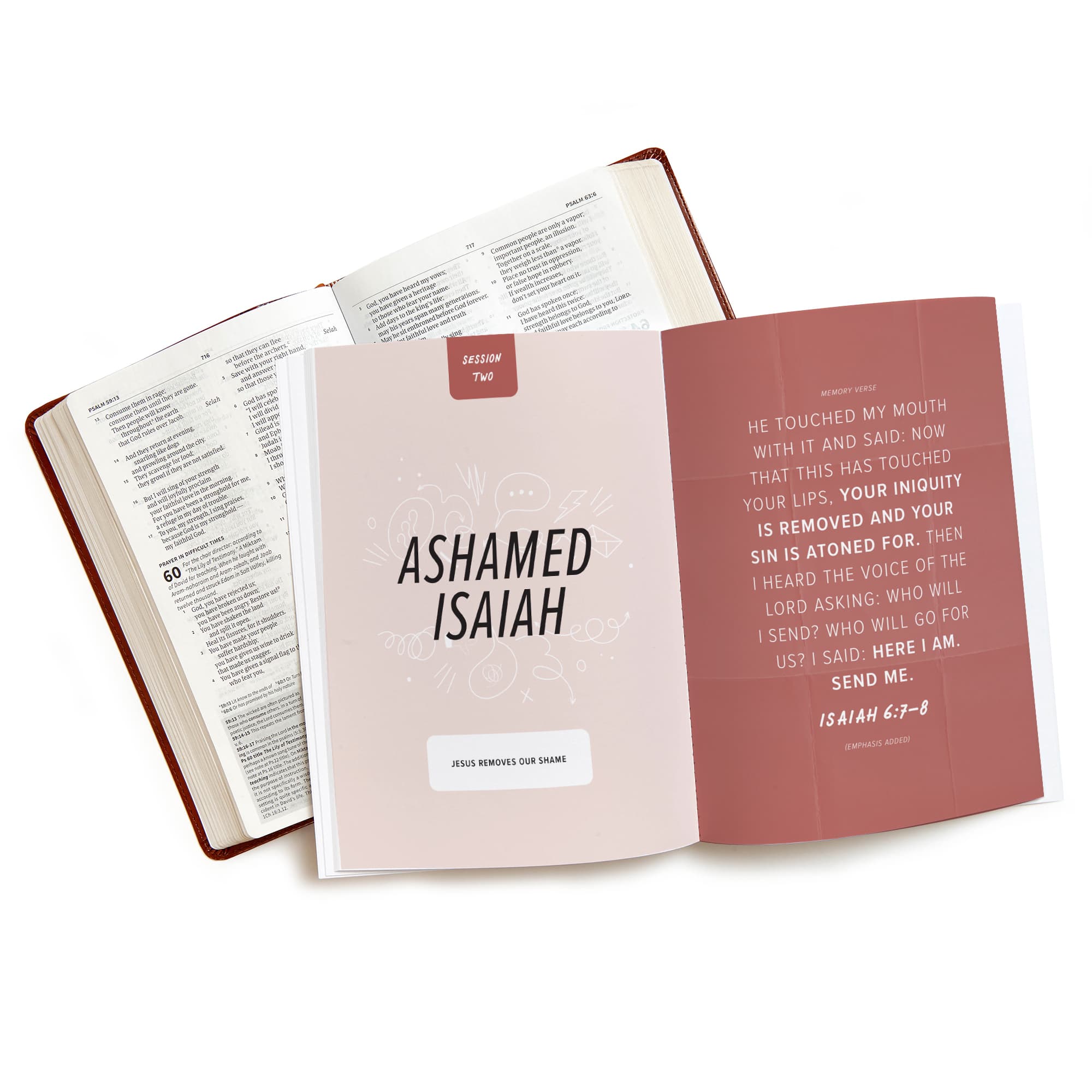 slide 4 of 5 for Ashamed - Bible Study Book with Video Access