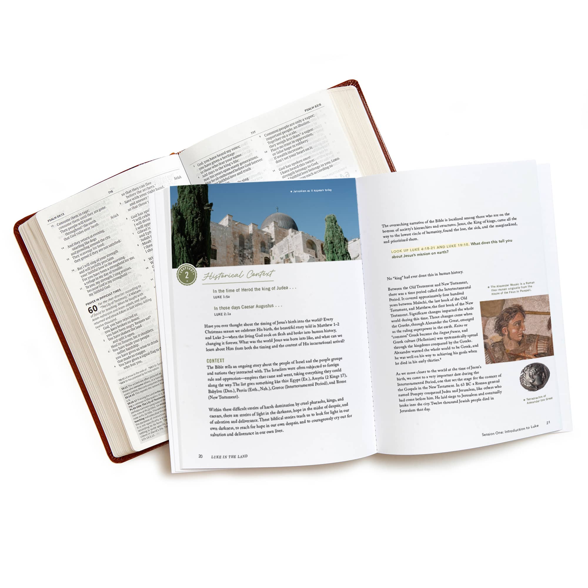 slide 4 of 4 for Luke in the Land - Bible Study Book with Video Access