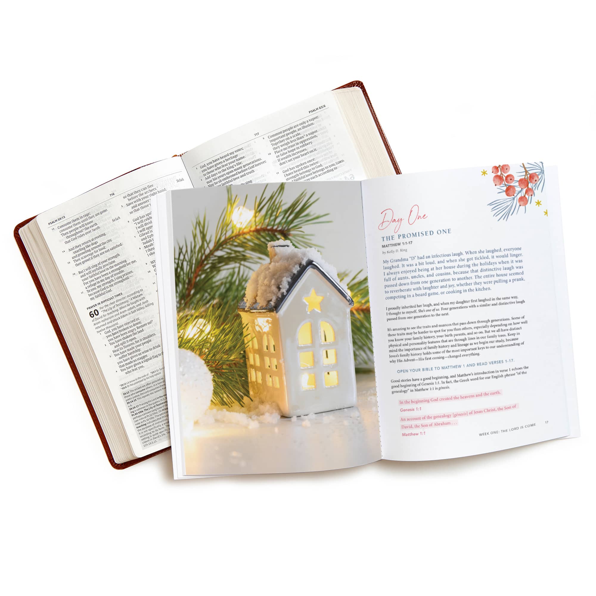 slide 5 of 7 for Joy to the World - Advent Bible Study Book with Video Access