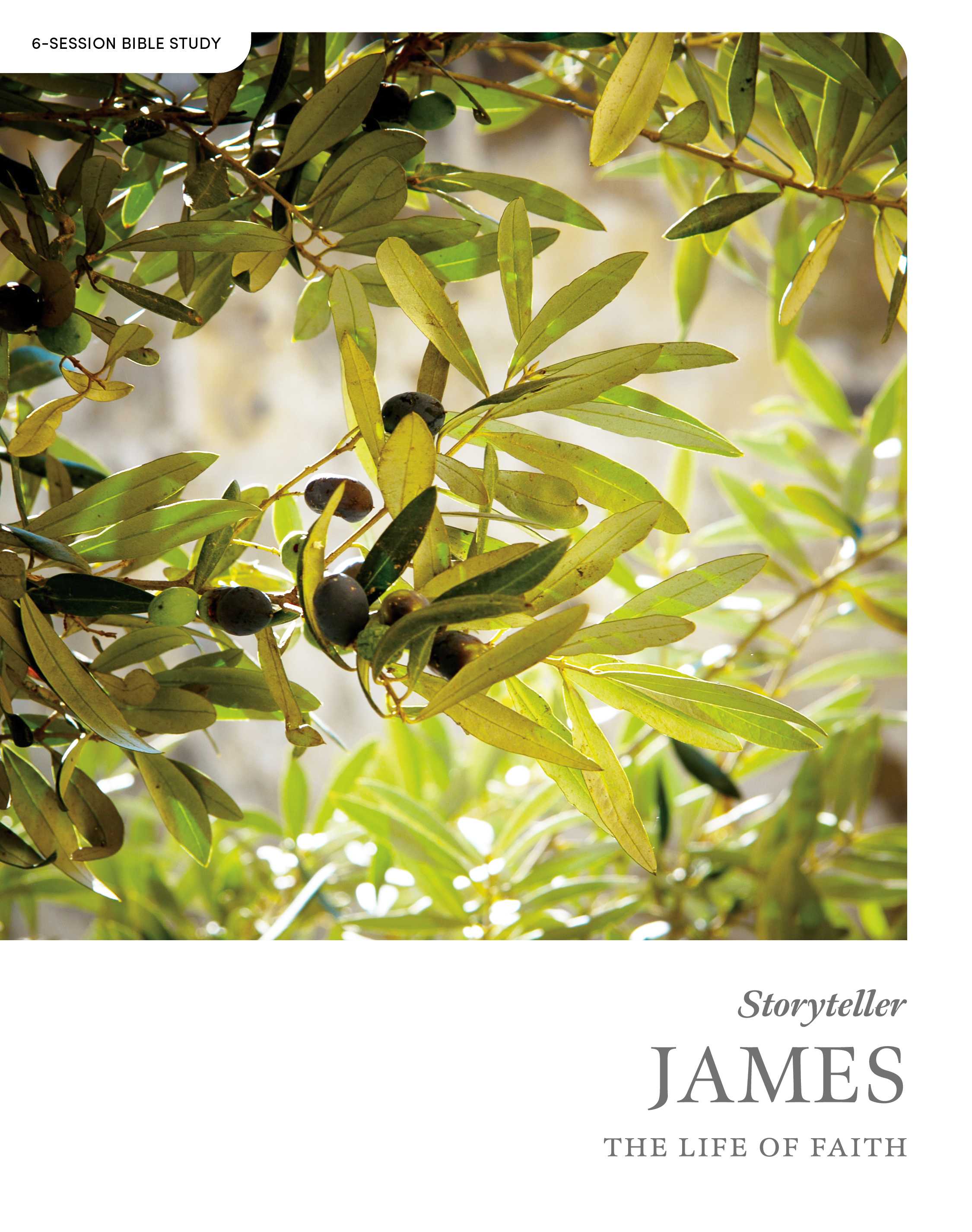 Cover of Storyteller James: The Life of Faith Bible study guide.