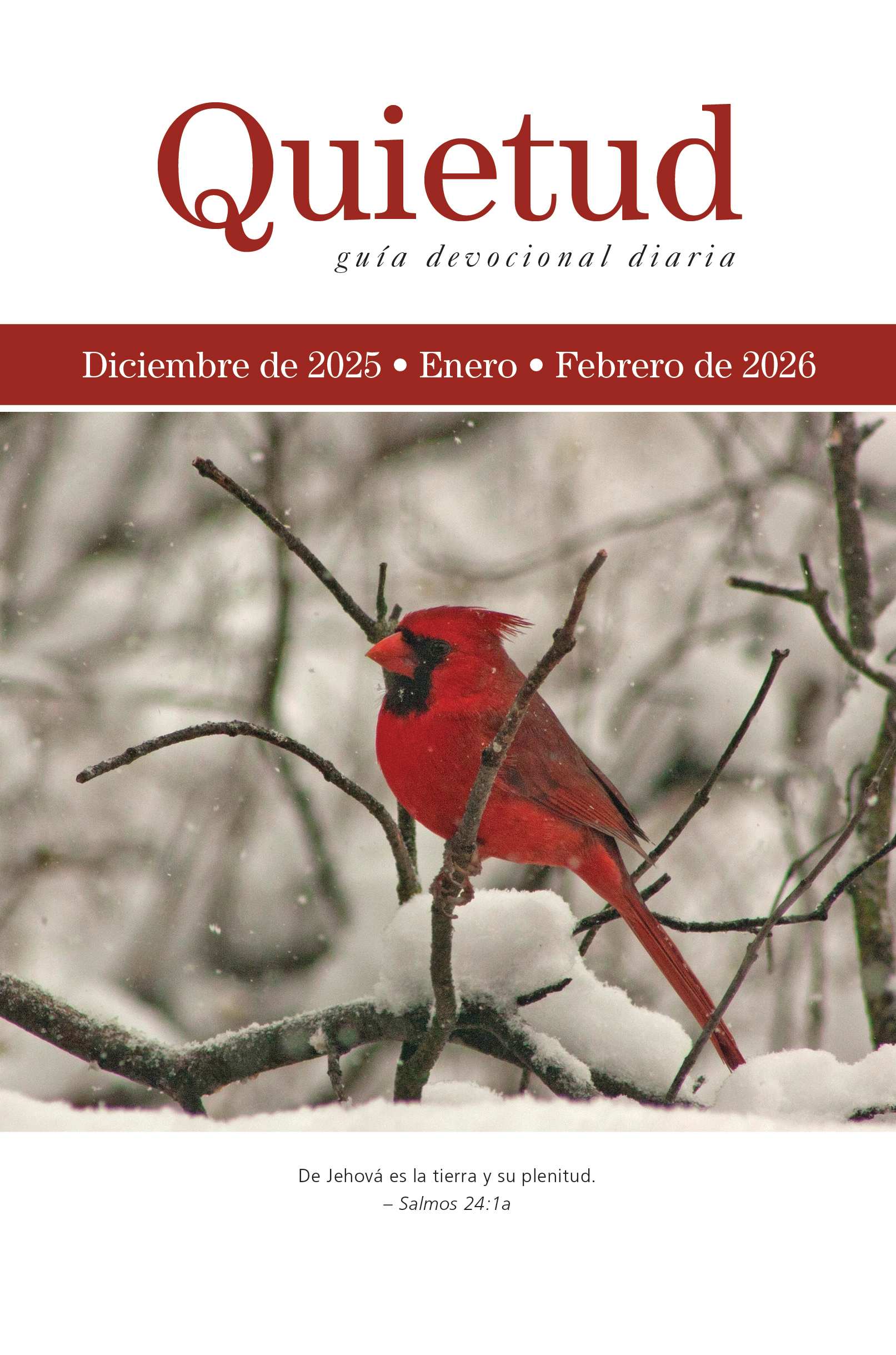 Quietud - Paquete de 25 - Invierno 2026
