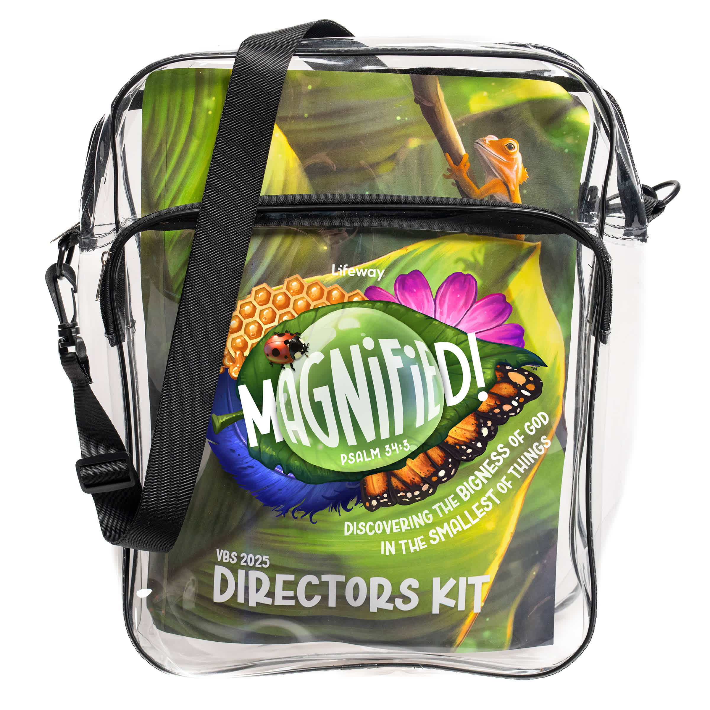 Magnified VBS 2025 Directors Kit with rainforest artwork, insects, and the theme “Discovering the Bigness of God.”