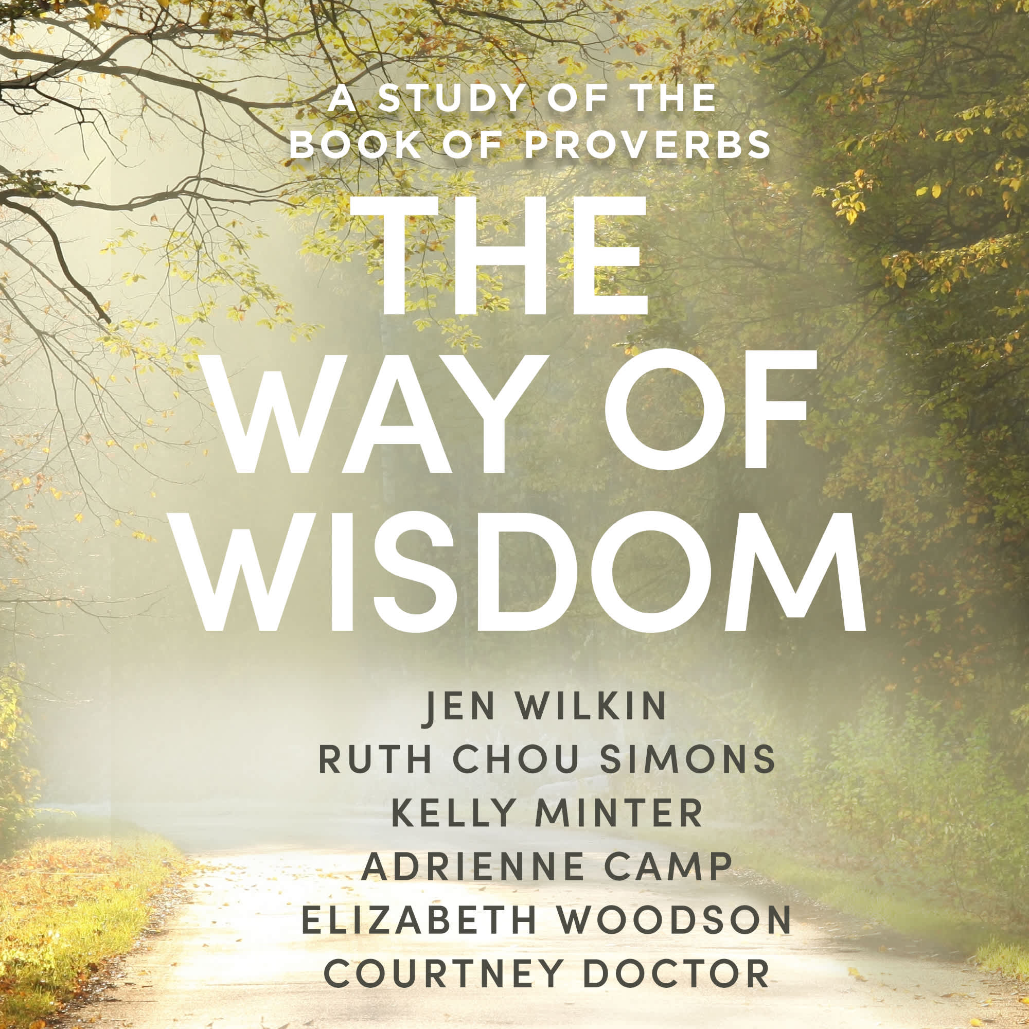 The Way of Wisdom - Video Streaming - Group