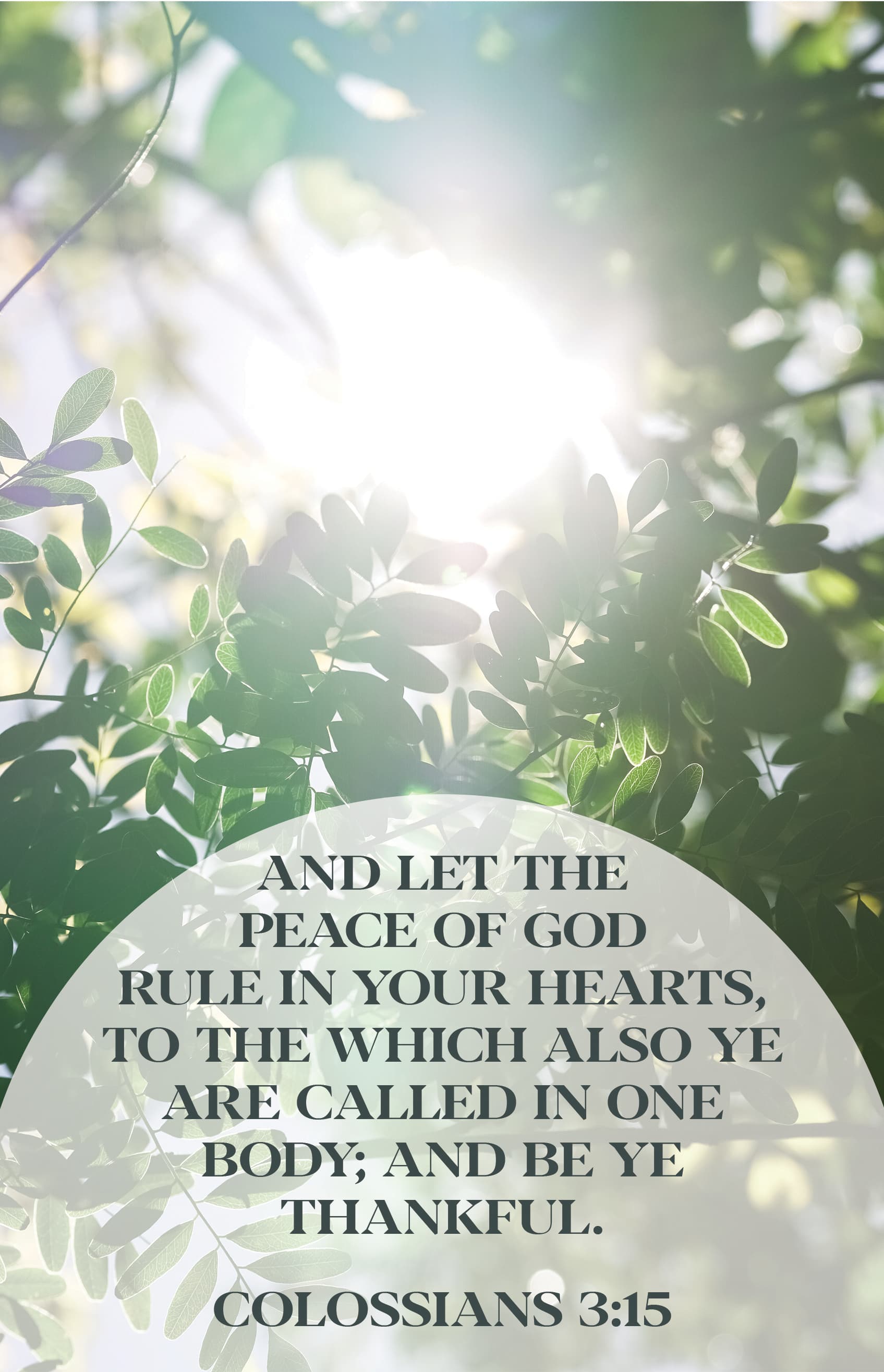 General Worship Bulletin: Let the Peace (Package of 100)