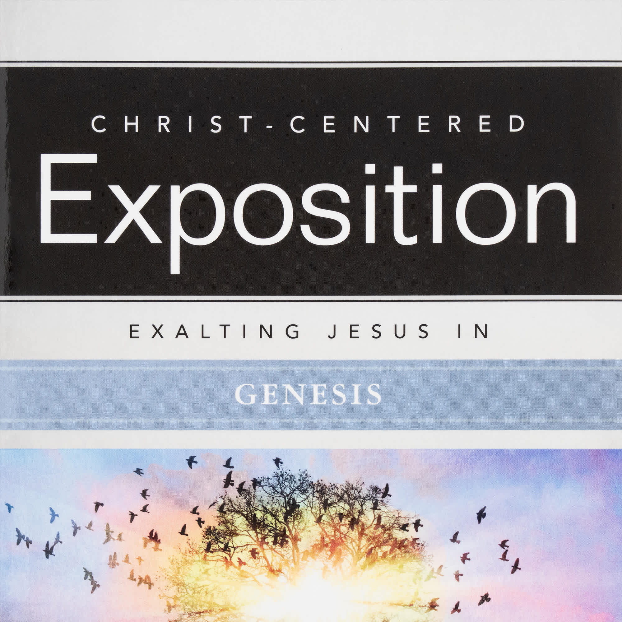 slide 9 of 11 for Exalting Jesus in Genesis