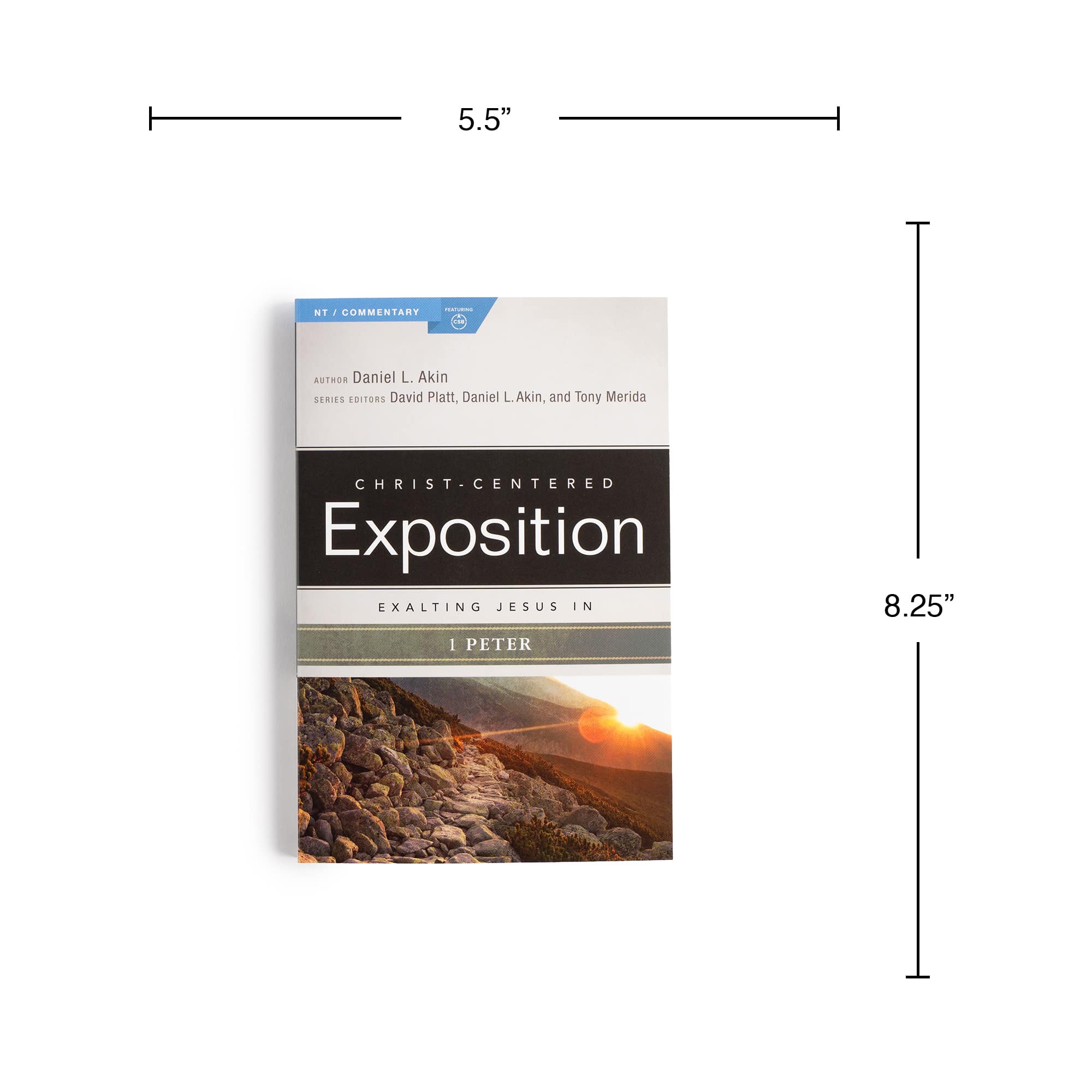 slide 8 of 10 for Exalting Jesus in 1 Peter