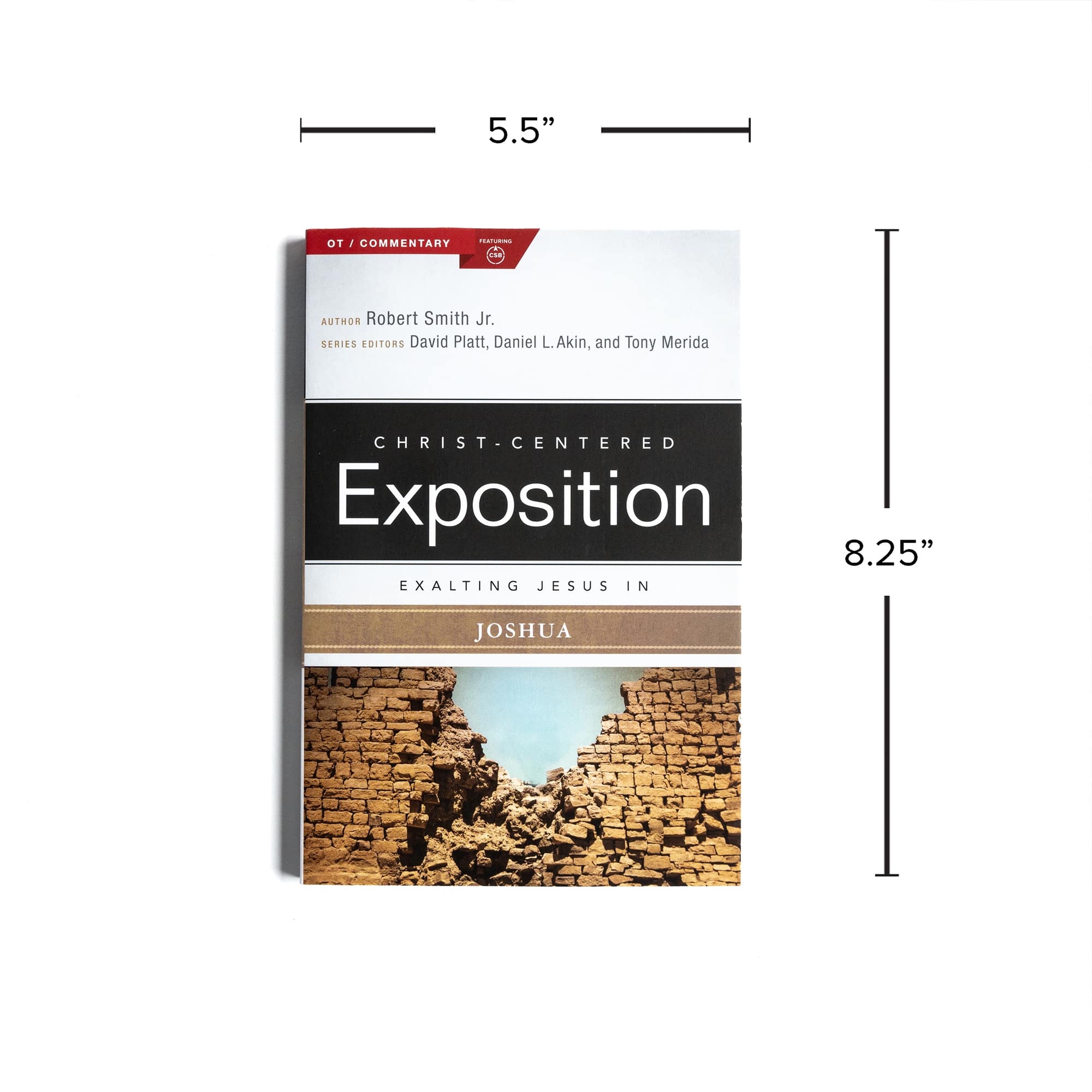 slide 8 of 10 for Exalting Jesus in Joshua
