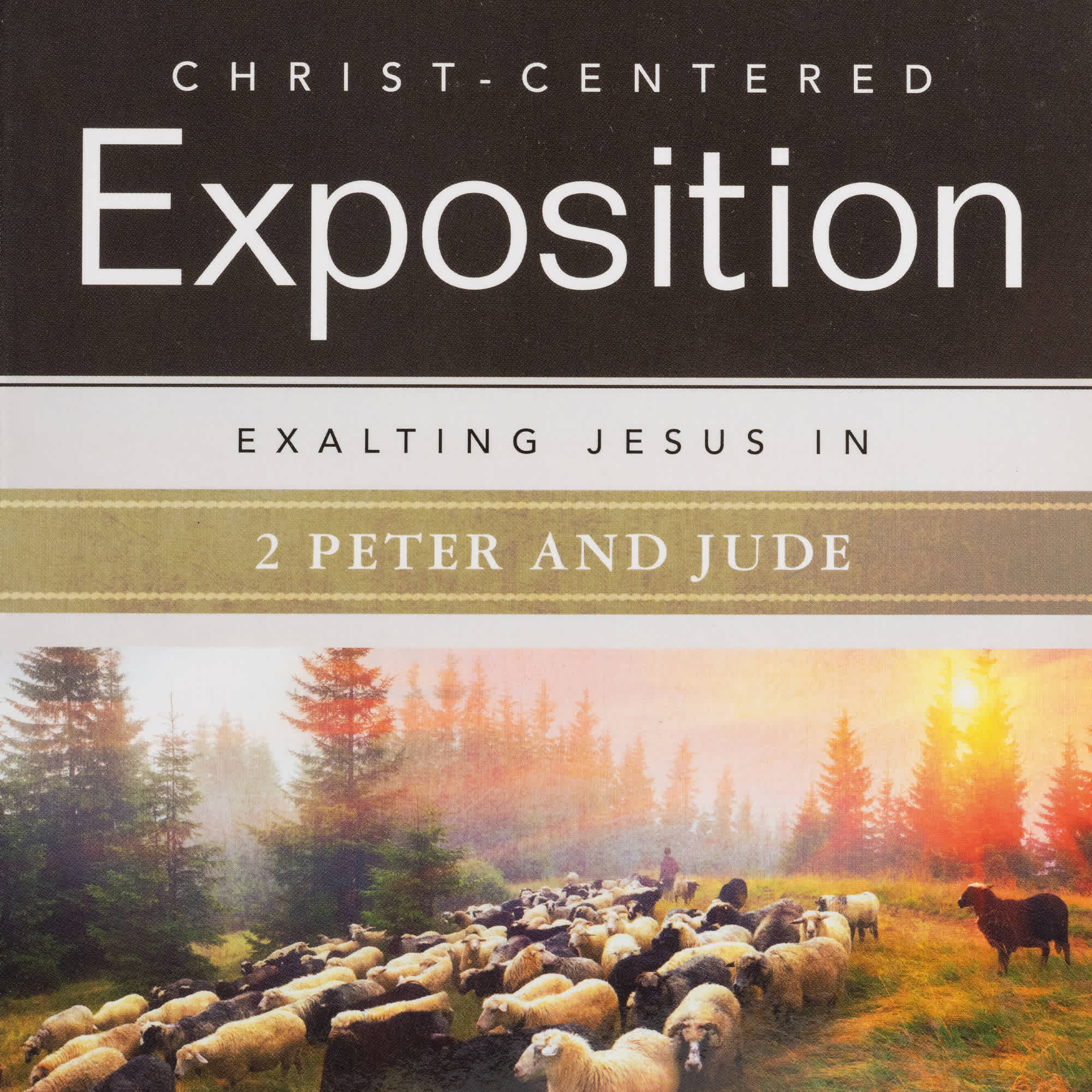 slide 9 of 10 for Exalting Jesus in 2 Peter, Jude