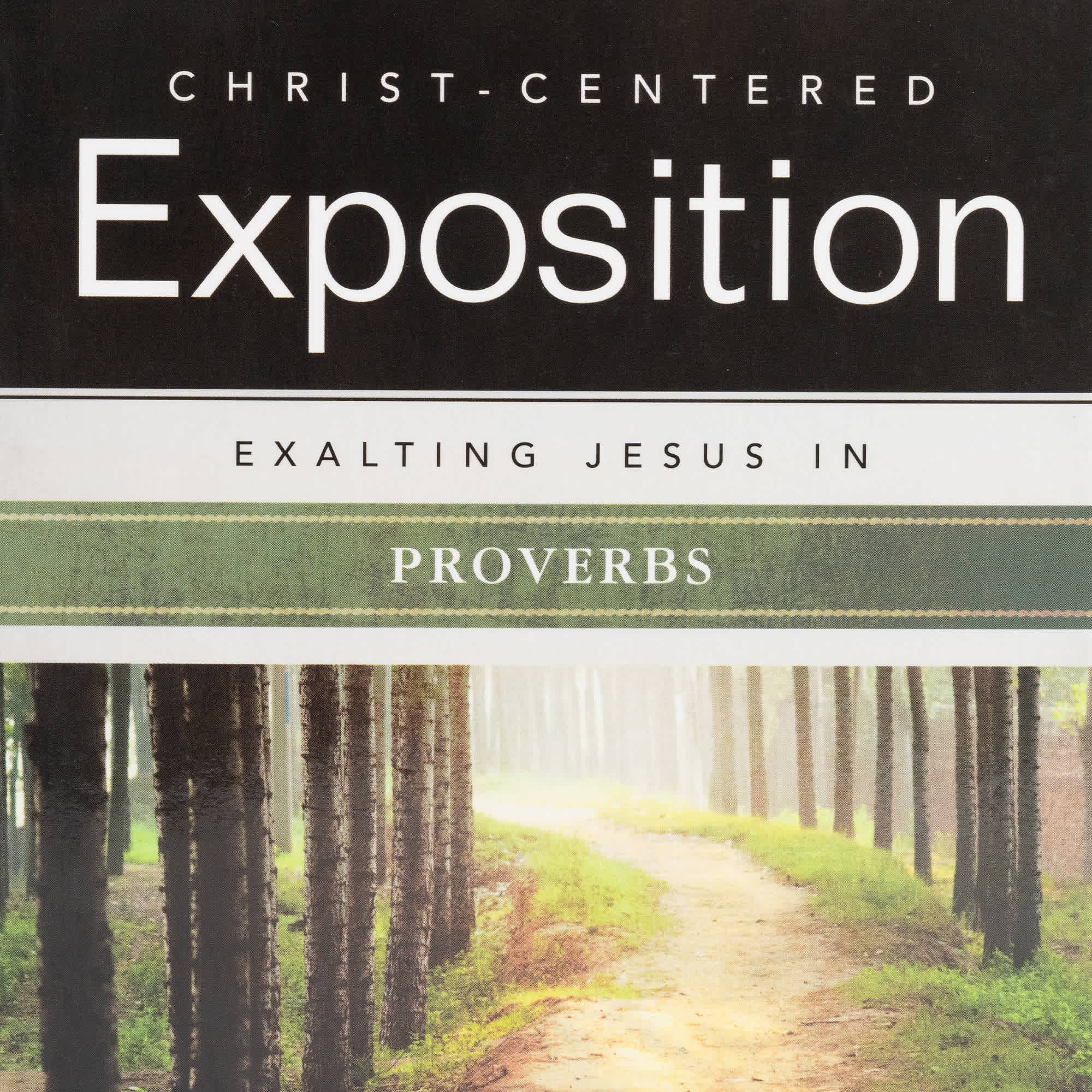 slide 9 of 10 for Exalting Jesus in Proverbs