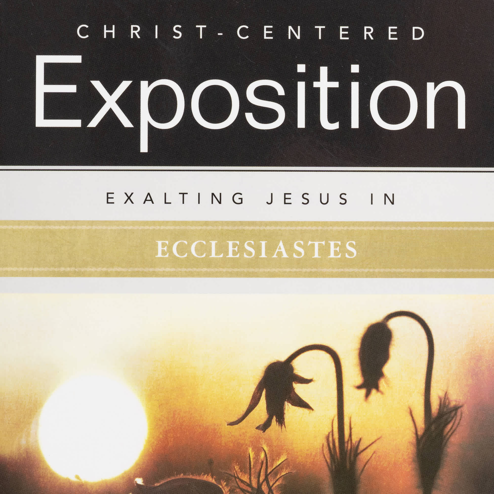 slide 9 of 10 for Exalting Jesus in Ecclesiastes