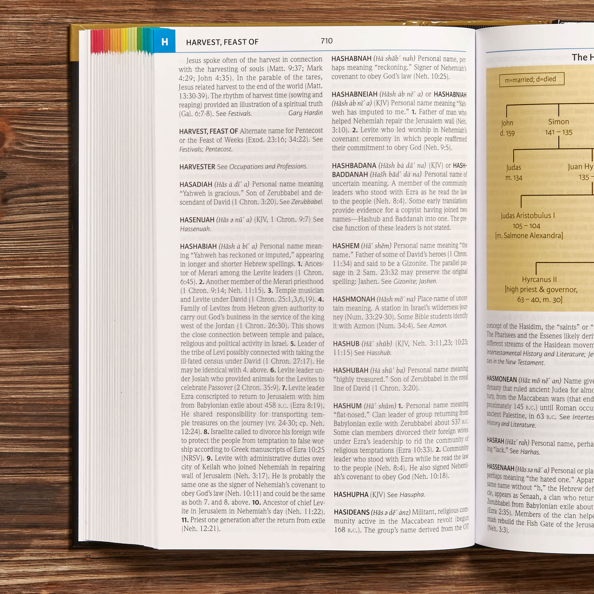 slide 5 of 7 for Holman Illustrated Bible Dictionary