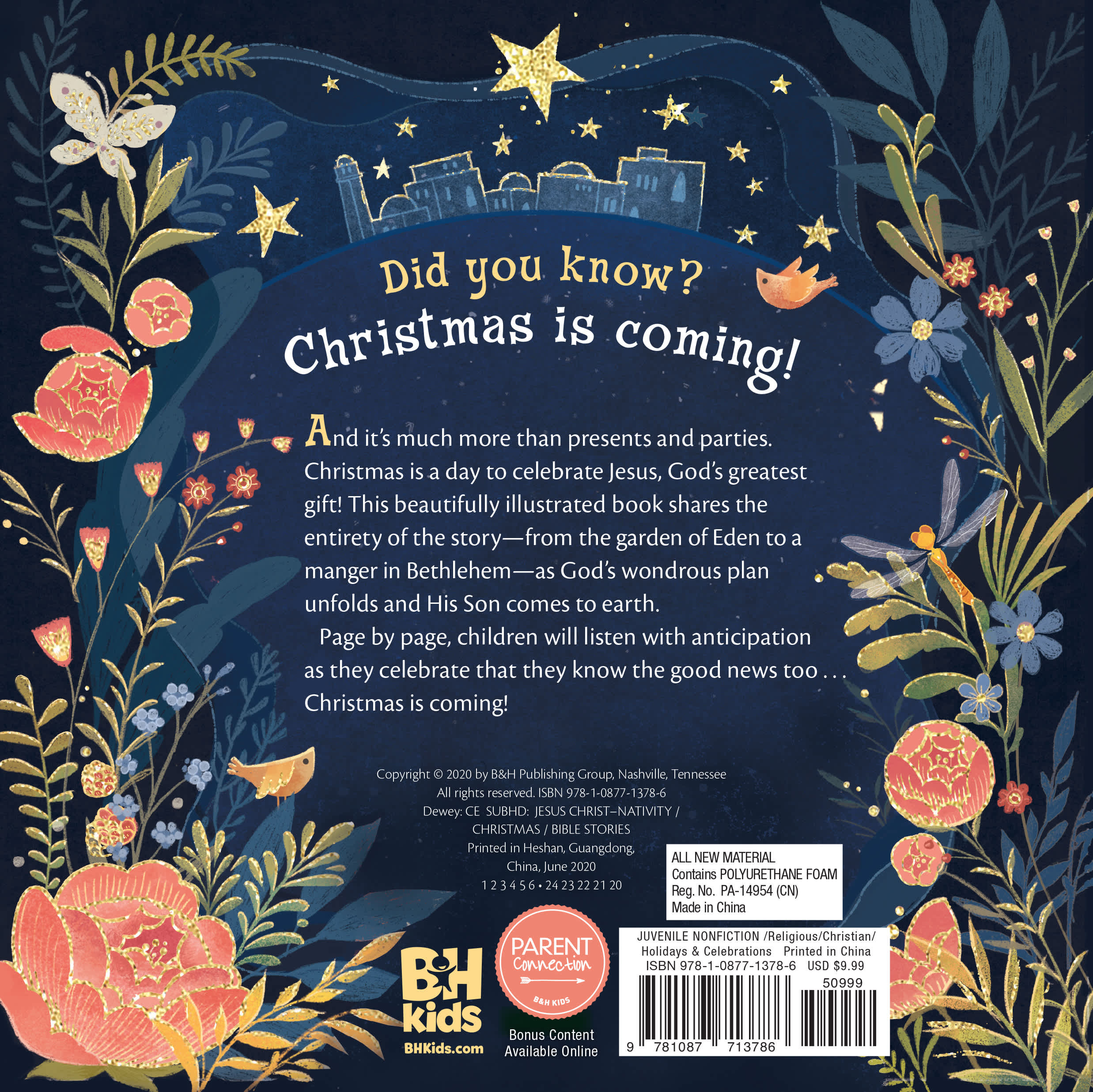 slide 2 of 6 for Christmas Is Coming!