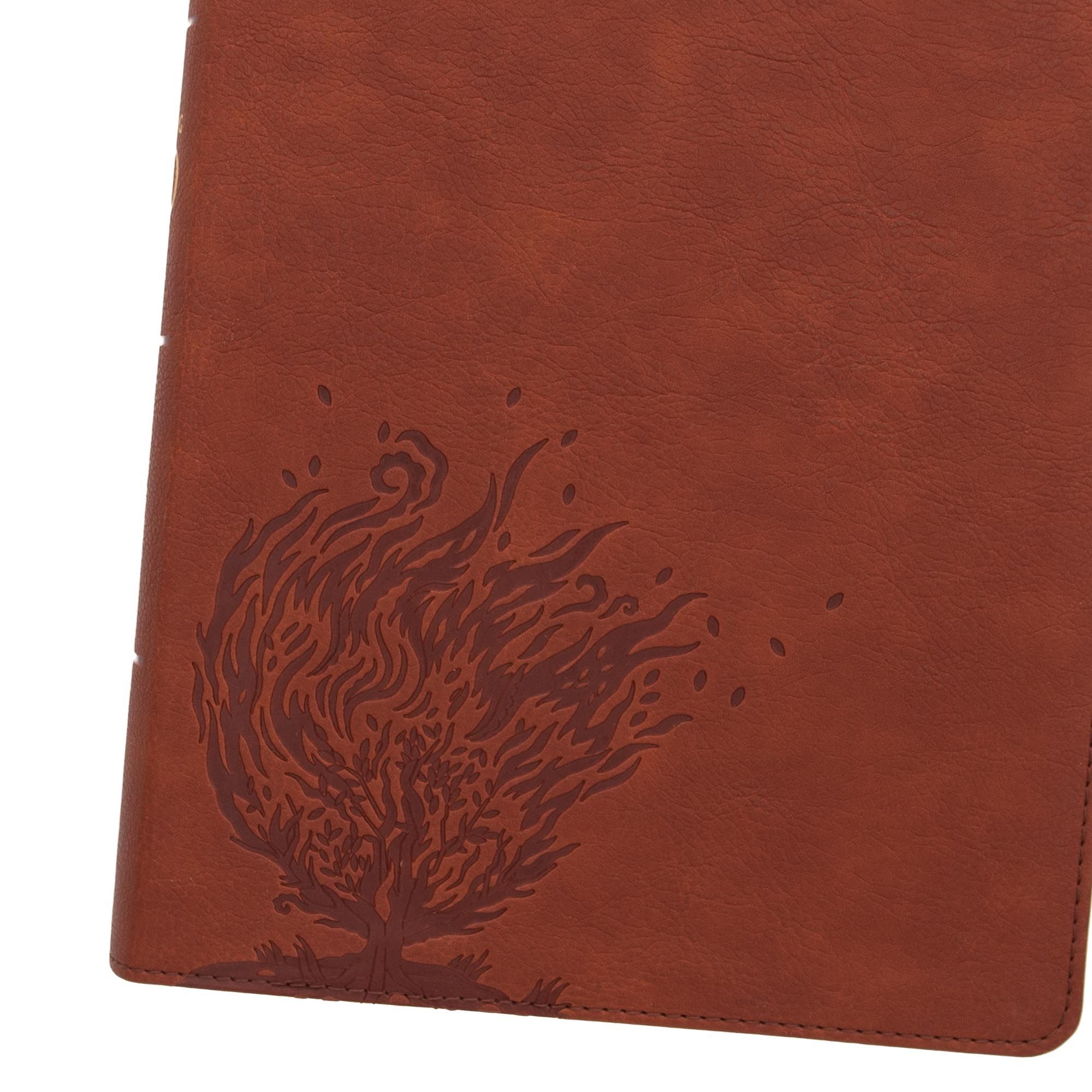 slide 9 of 10 for CSB Experiencing God Bible, Burnt Sienna LeatherTouch