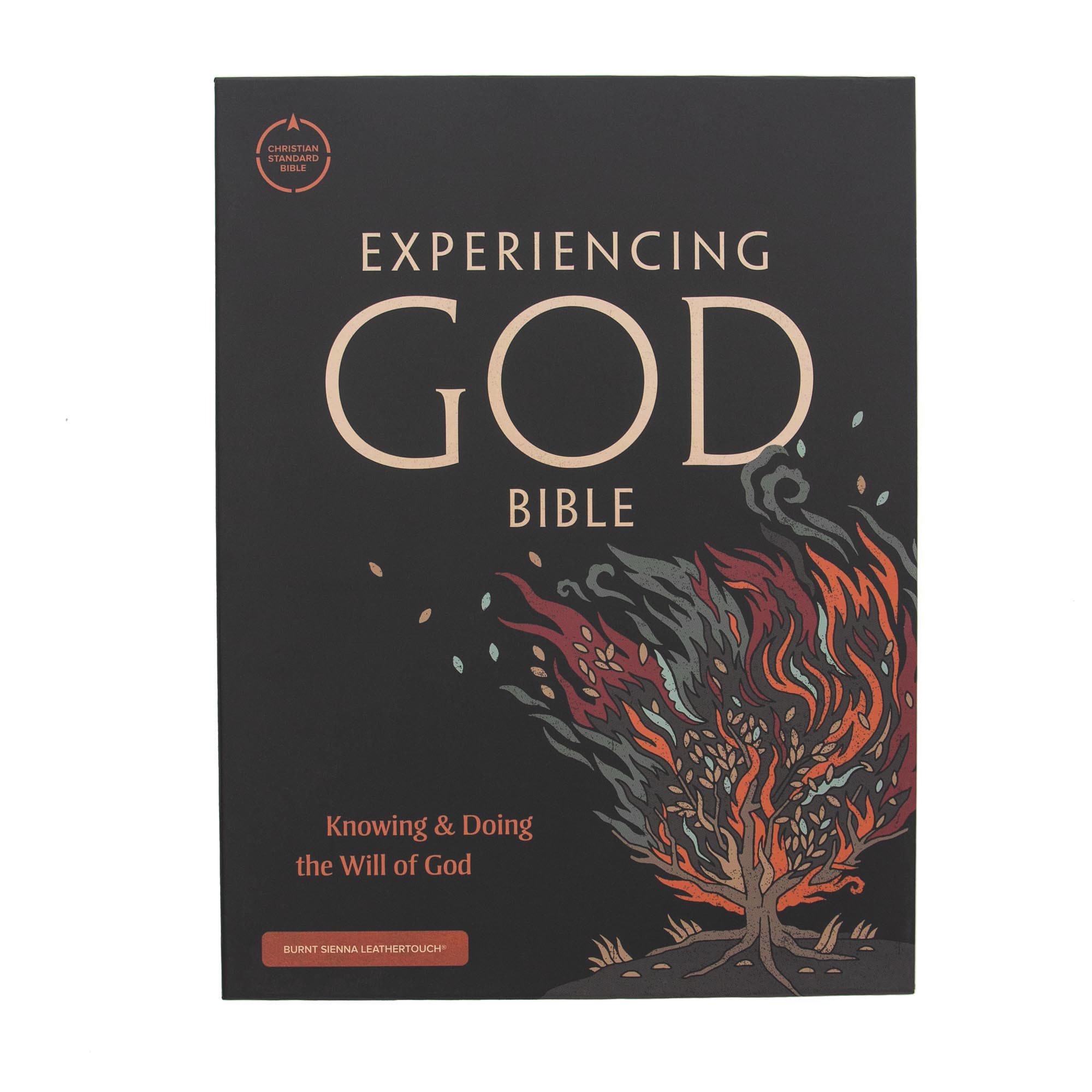 slide 10 of 10 for CSB Experiencing God Bible, Burnt Sienna LeatherTouch