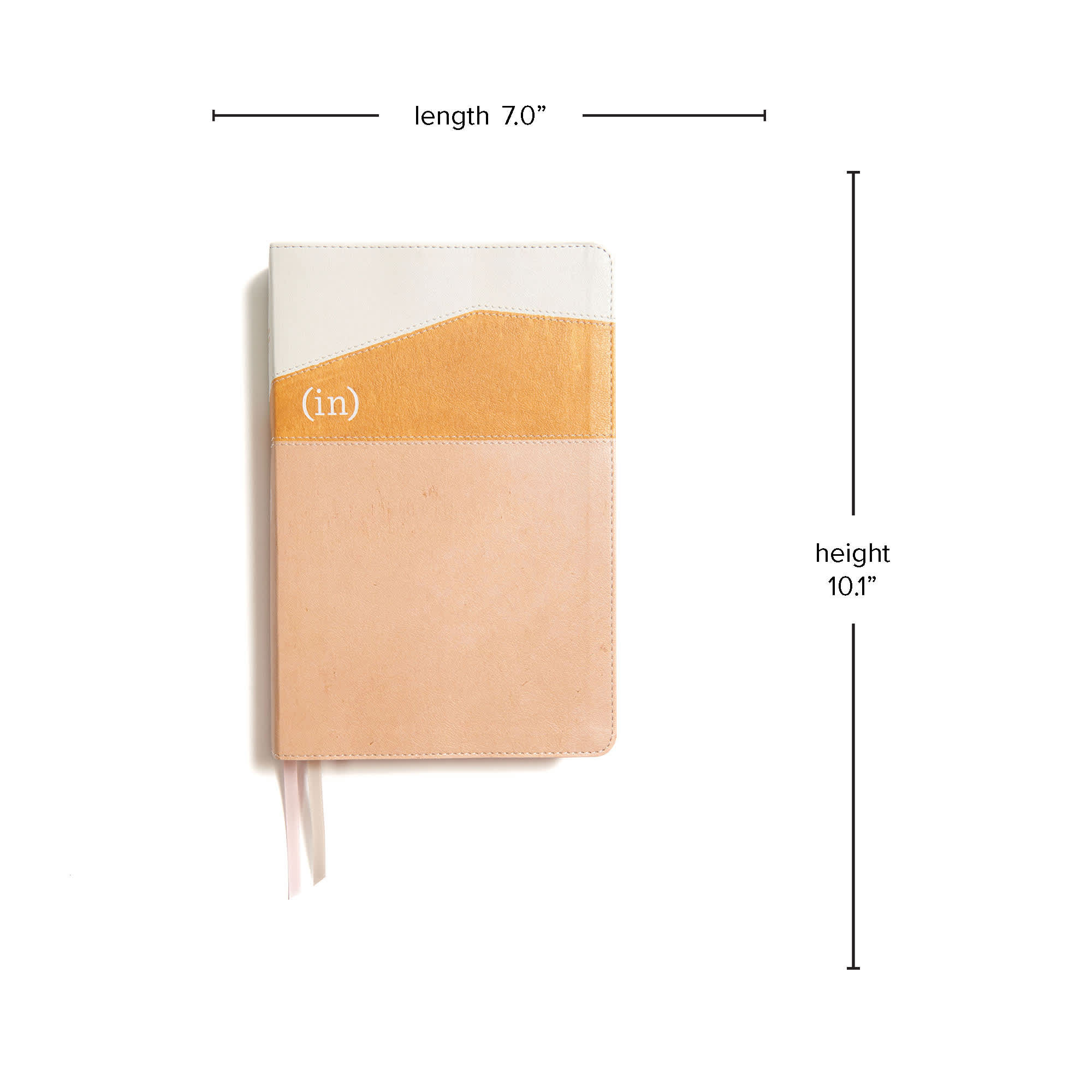 slide 6 of 7 for CSB (in)courage Devotional Bible, Desert/Mustard/Alabaster LeatherTouch, Indexed