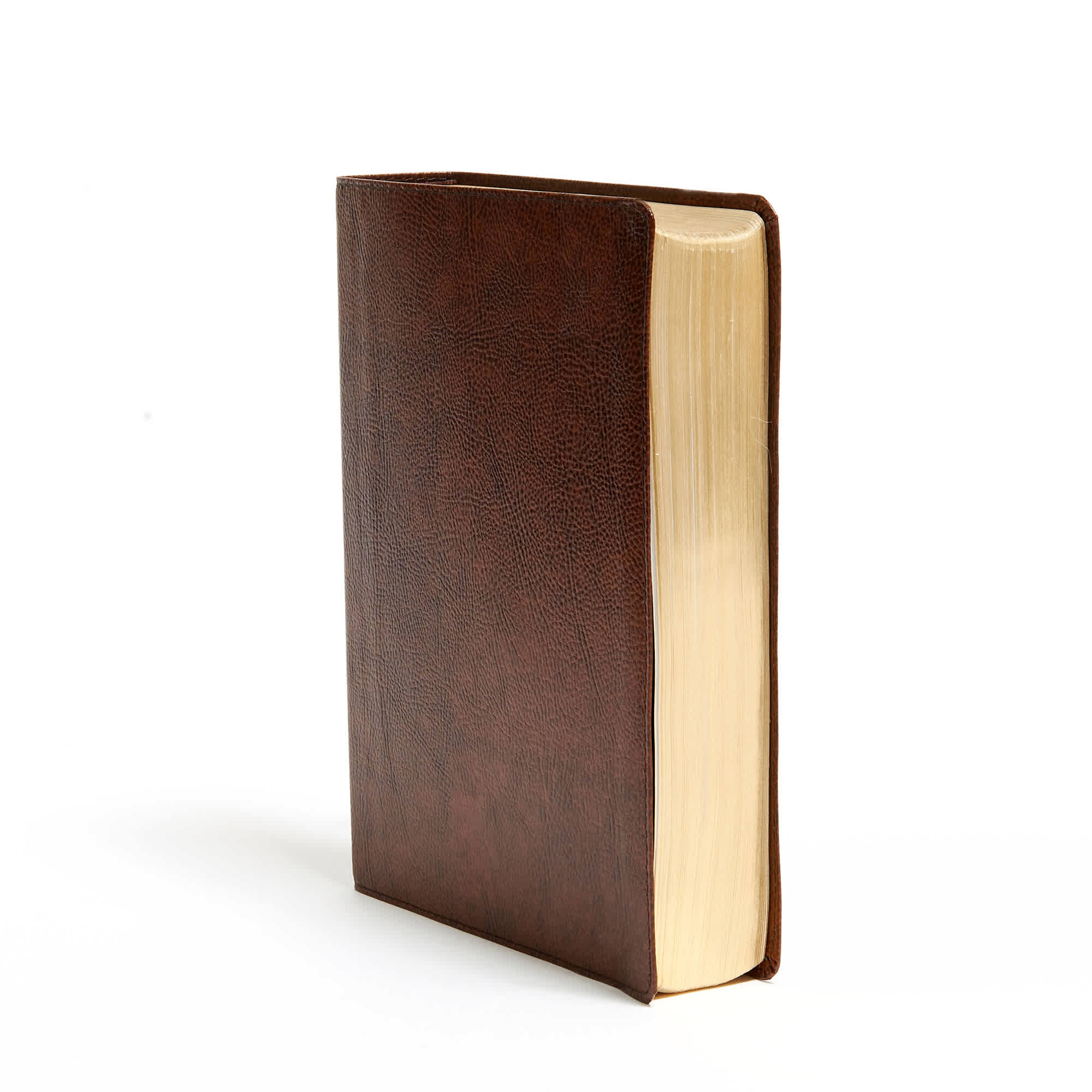 slide 3 of 8 for KJV Study Bible, Full-Color, Brown Bonded Leather