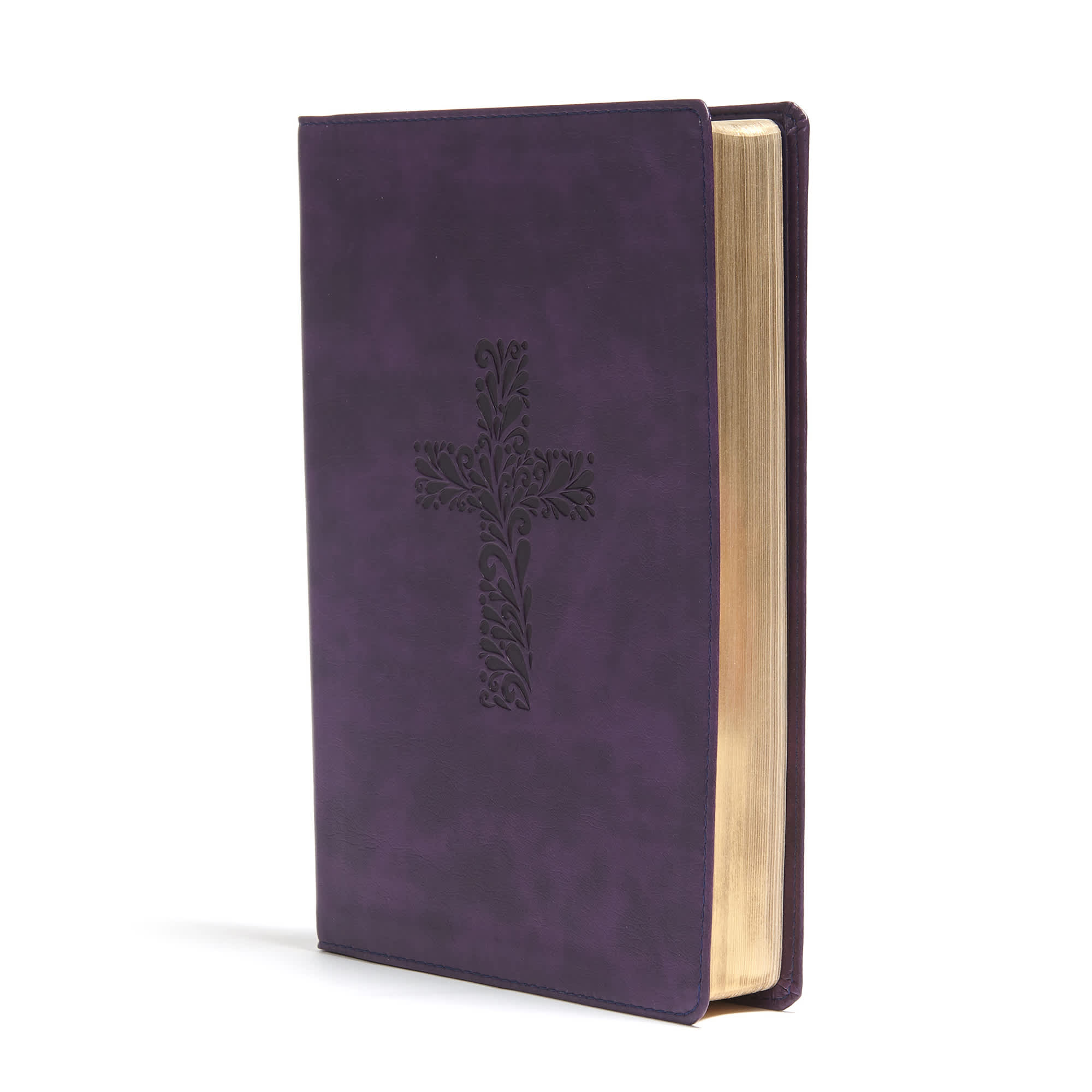 slide 3 of 9 for KJV Rainbow Study Bible, Purple LeatherTouch