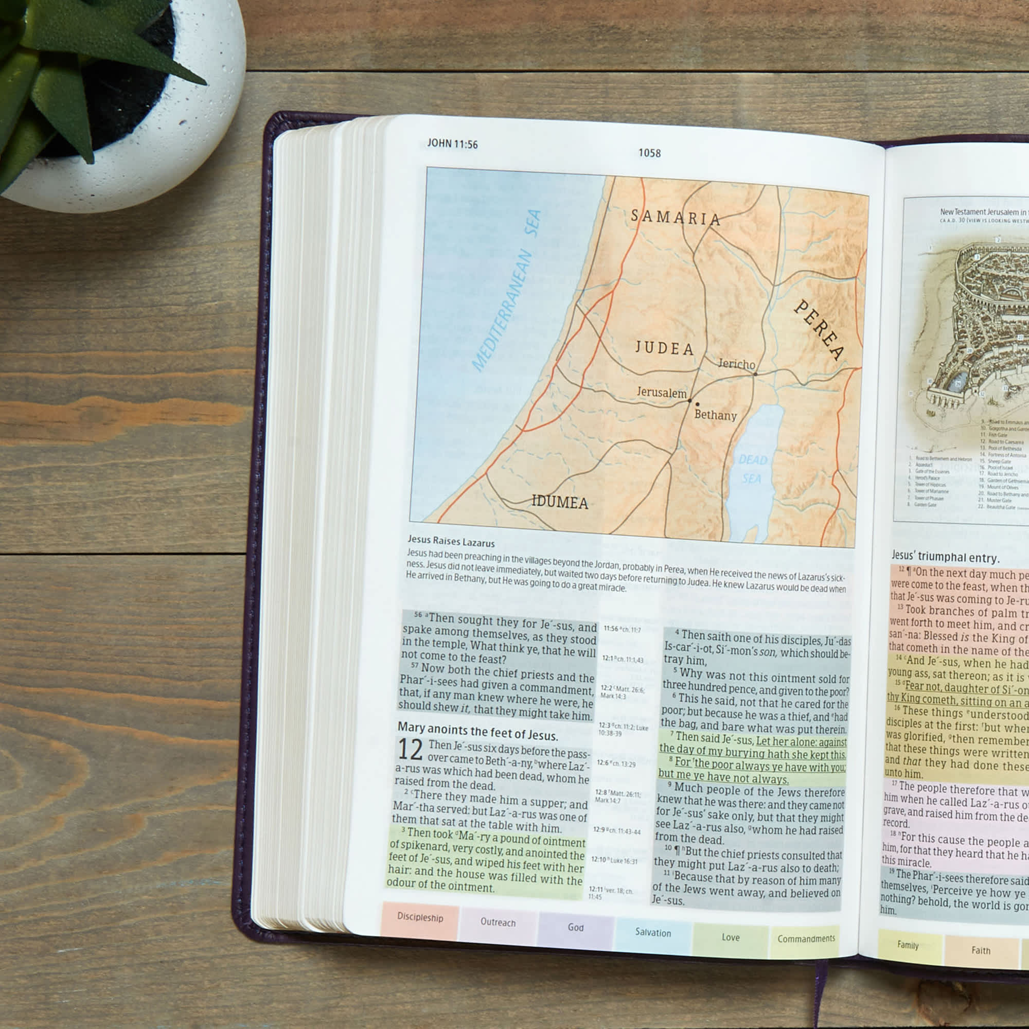 slide 6 of 9 for KJV Rainbow Study Bible, Purple LeatherTouch