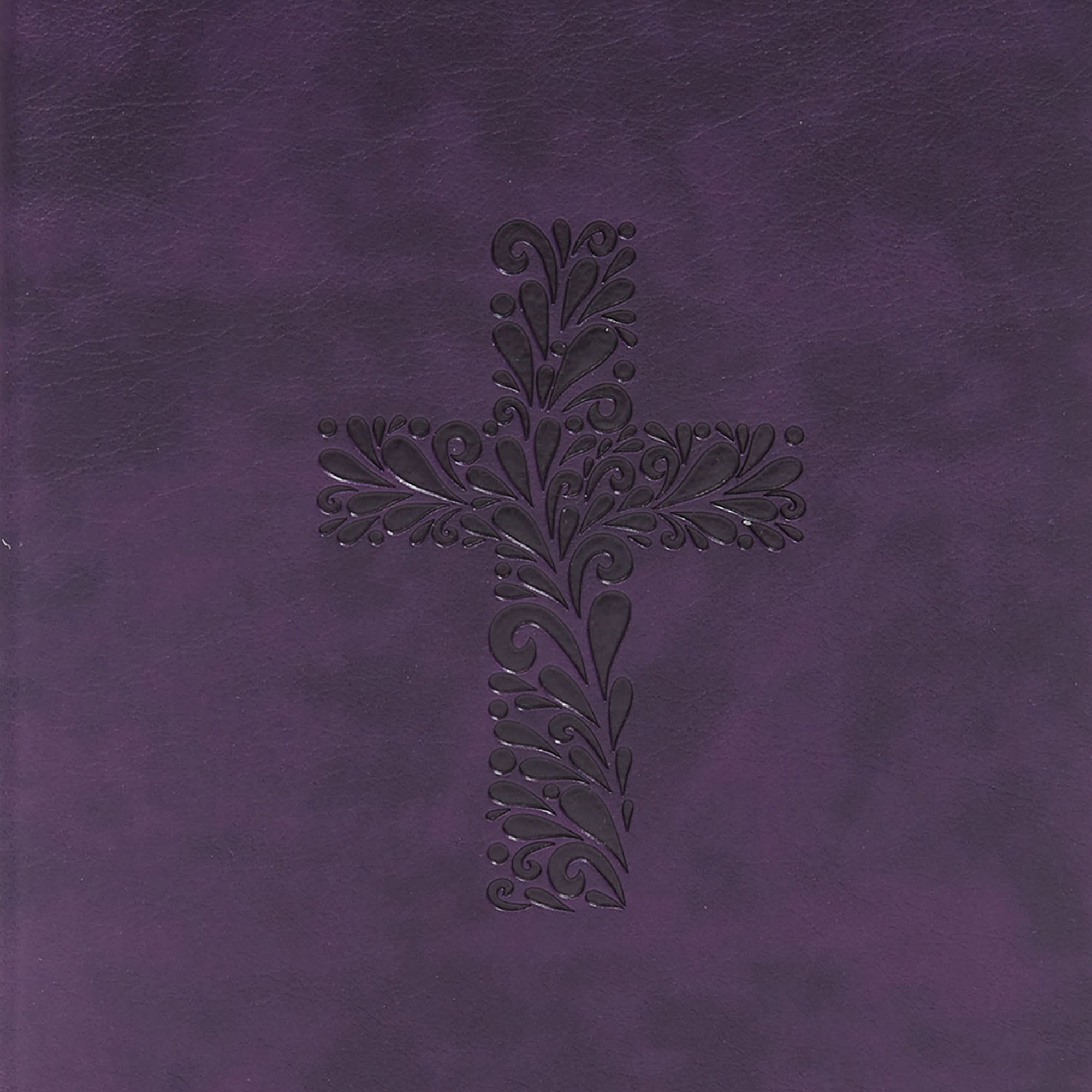 slide 9 of 9 for KJV Rainbow Study Bible, Purple LeatherTouch