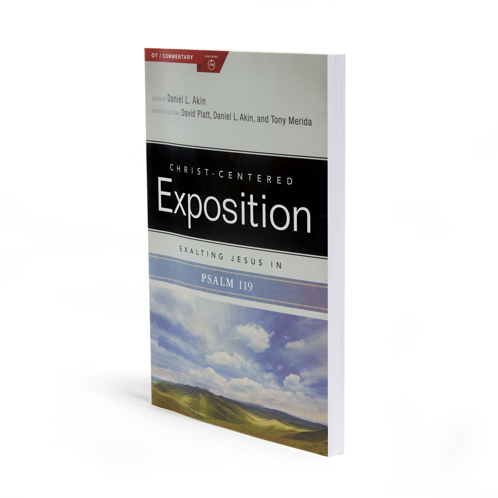 slide 4 of 15 for Exalting Jesus in Psalms 119