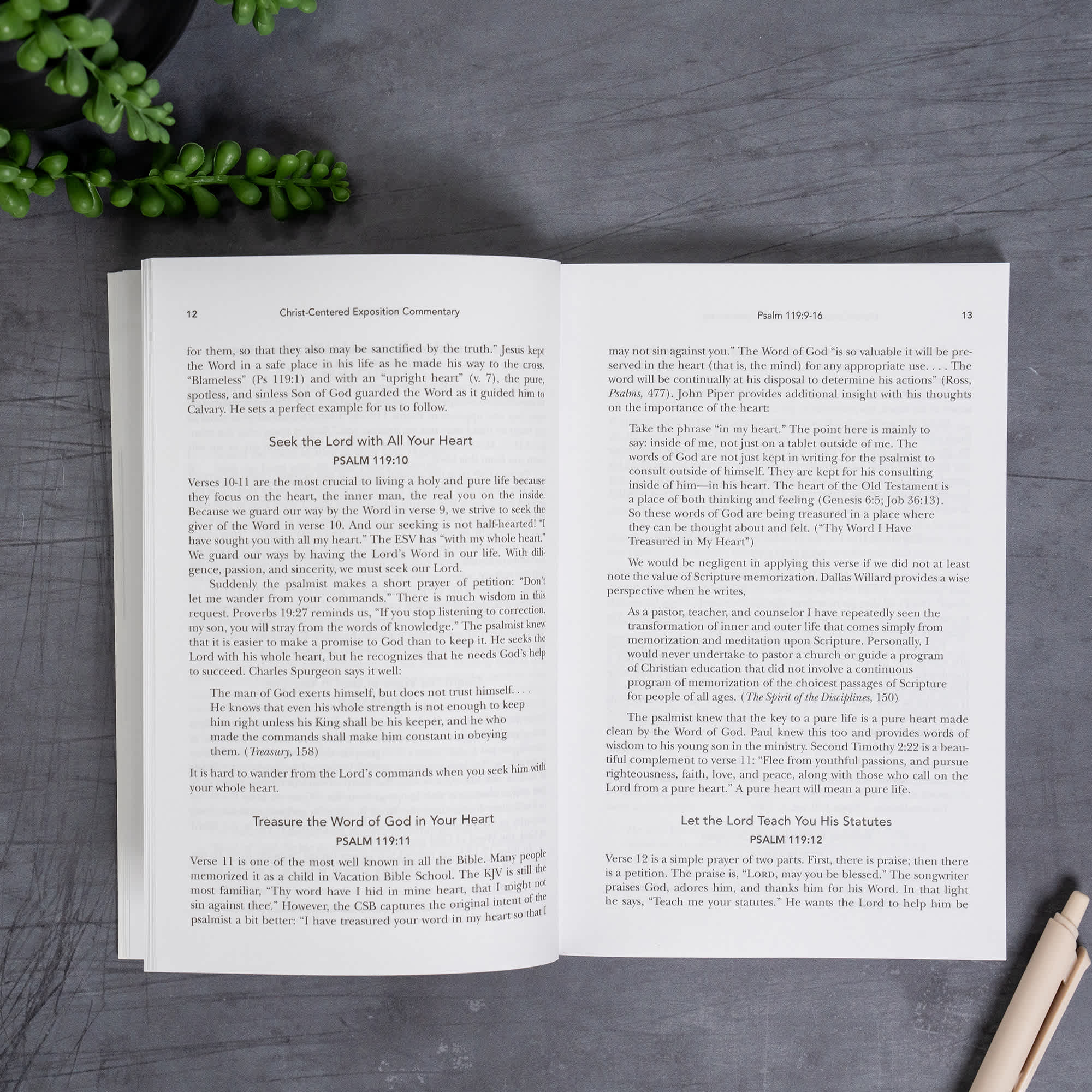 slide 12 of 15 for Exalting Jesus in Psalms 119