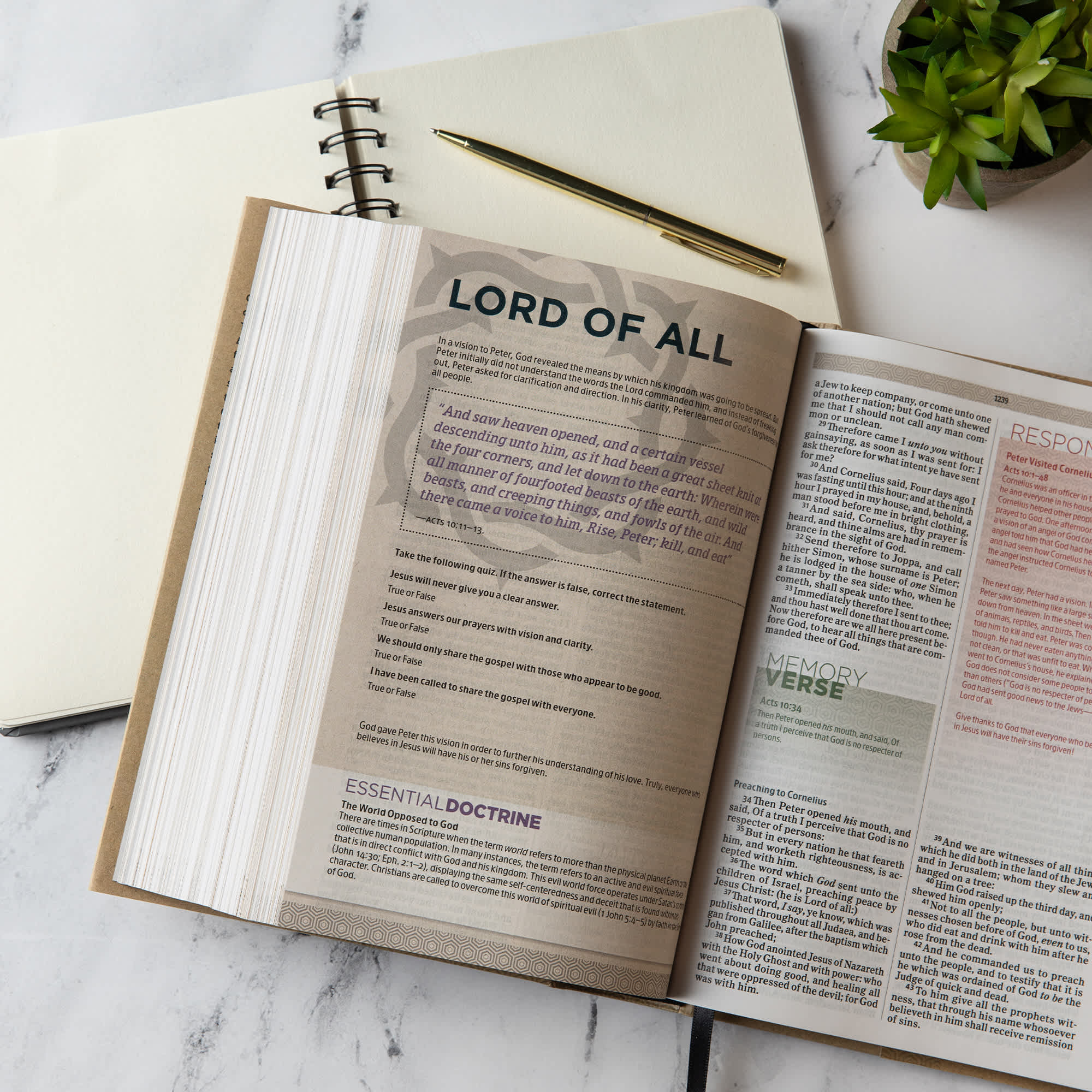 slide 5 of 10 for KJV Essential Teen Study Bible, Hardcover