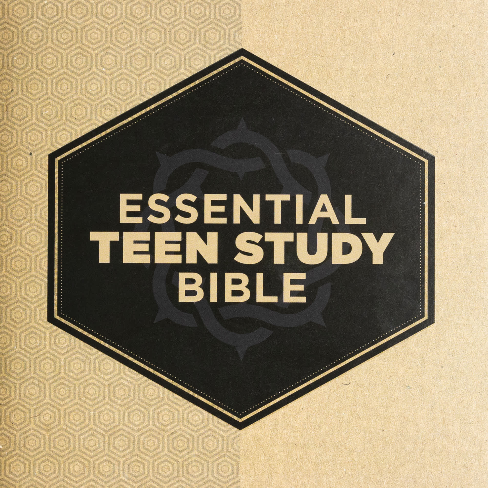 slide 9 of 10 for KJV Essential Teen Study Bible, Hardcover
